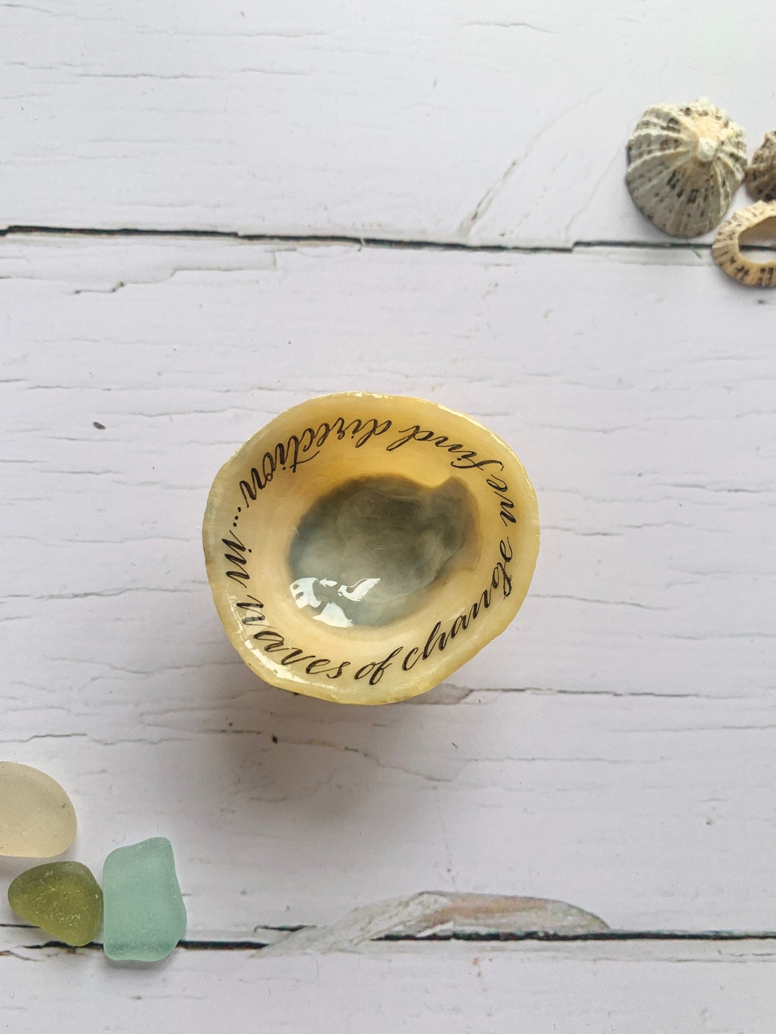 Hand lettered calligraphy Cornish limpet shells - Readymoney Beach Shop