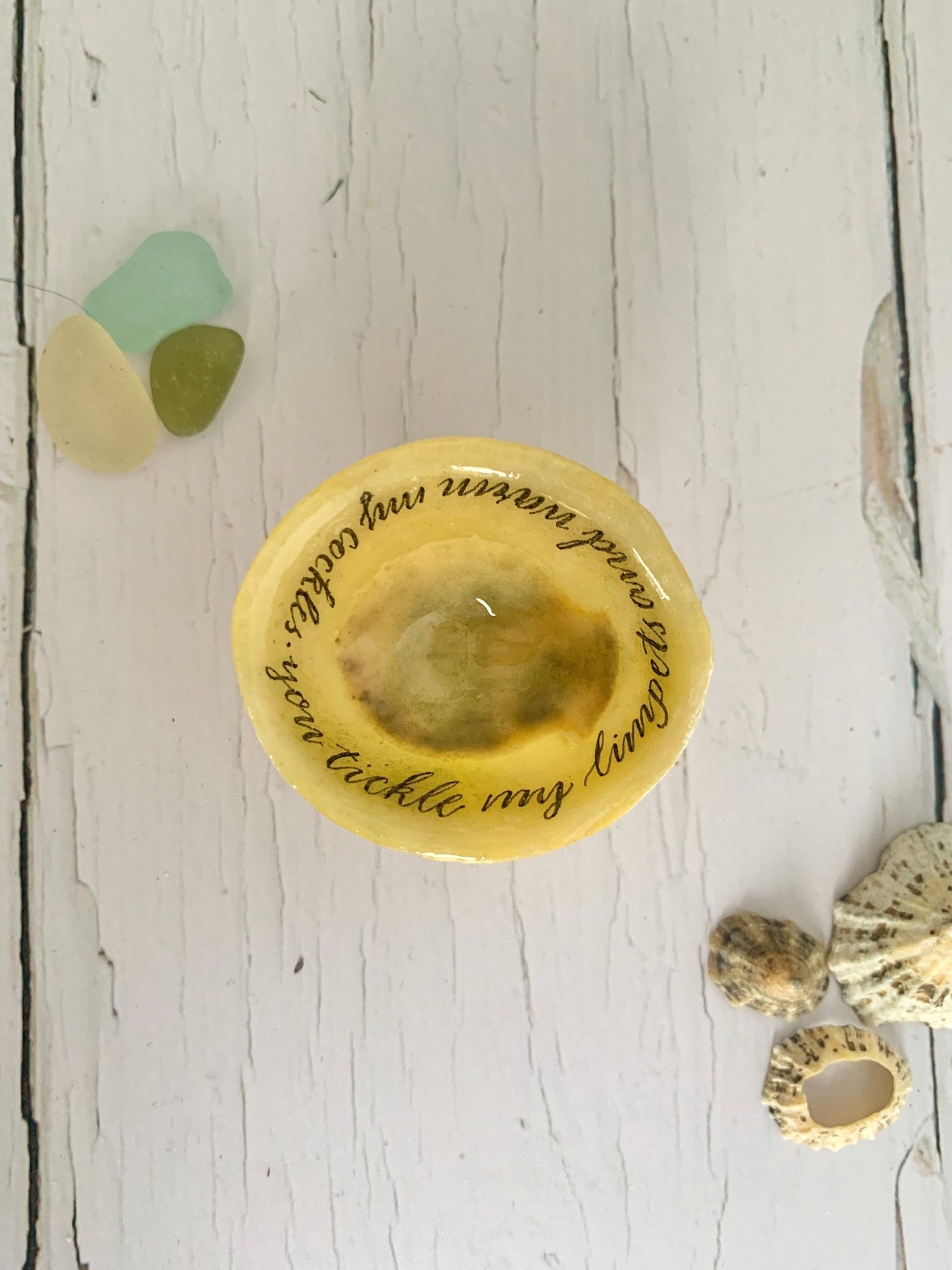 Hand lettered calligraphy Cornish limpet shells - Readymoney Beach Shop