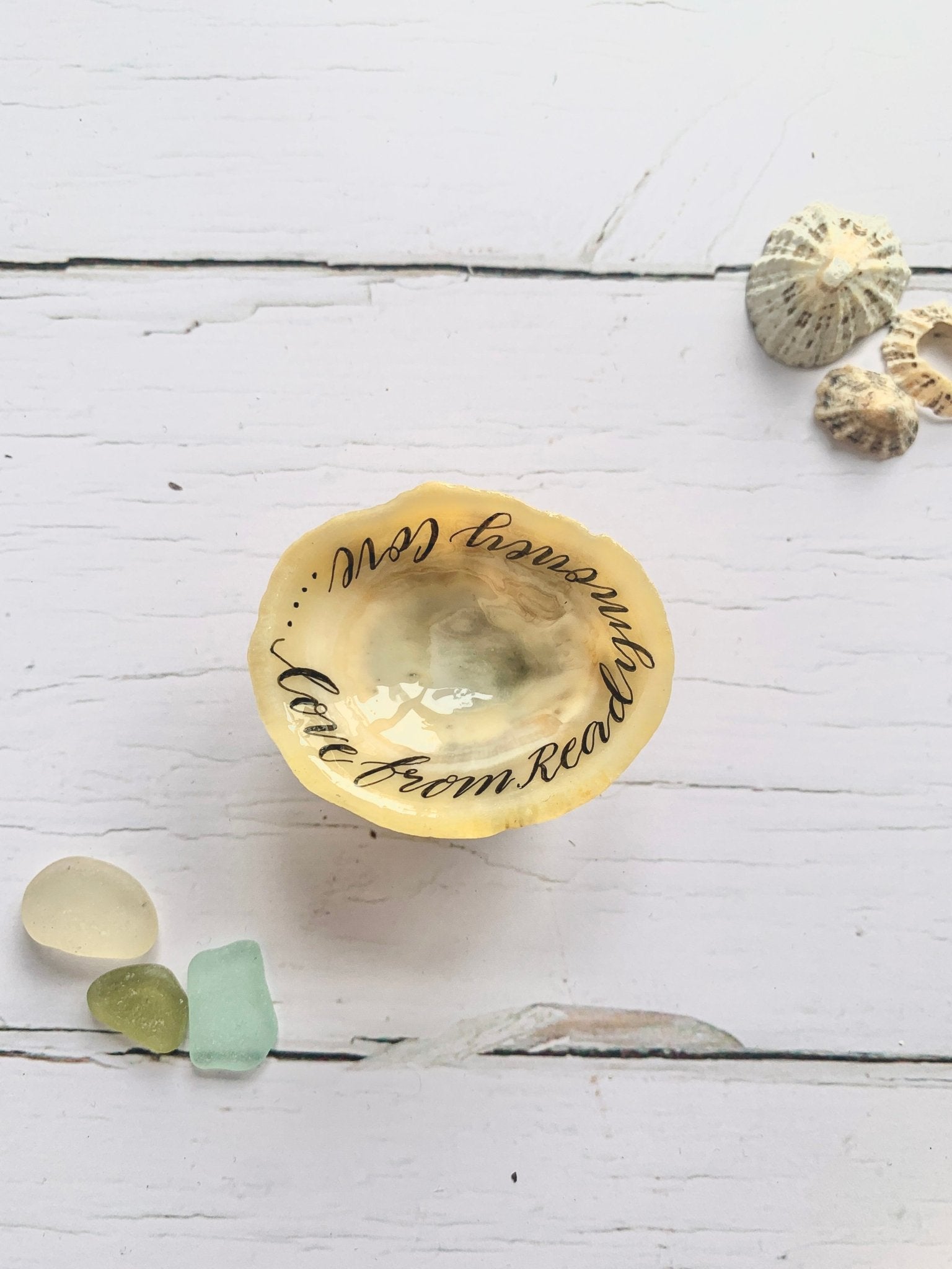 Hand lettered calligraphy Cornish limpet shells - Readymoney Beach Shop