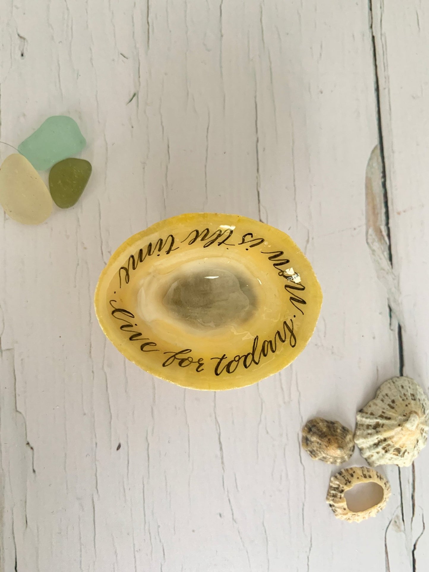 Hand lettered calligraphy Cornish limpet shells - Readymoney Beach Shop