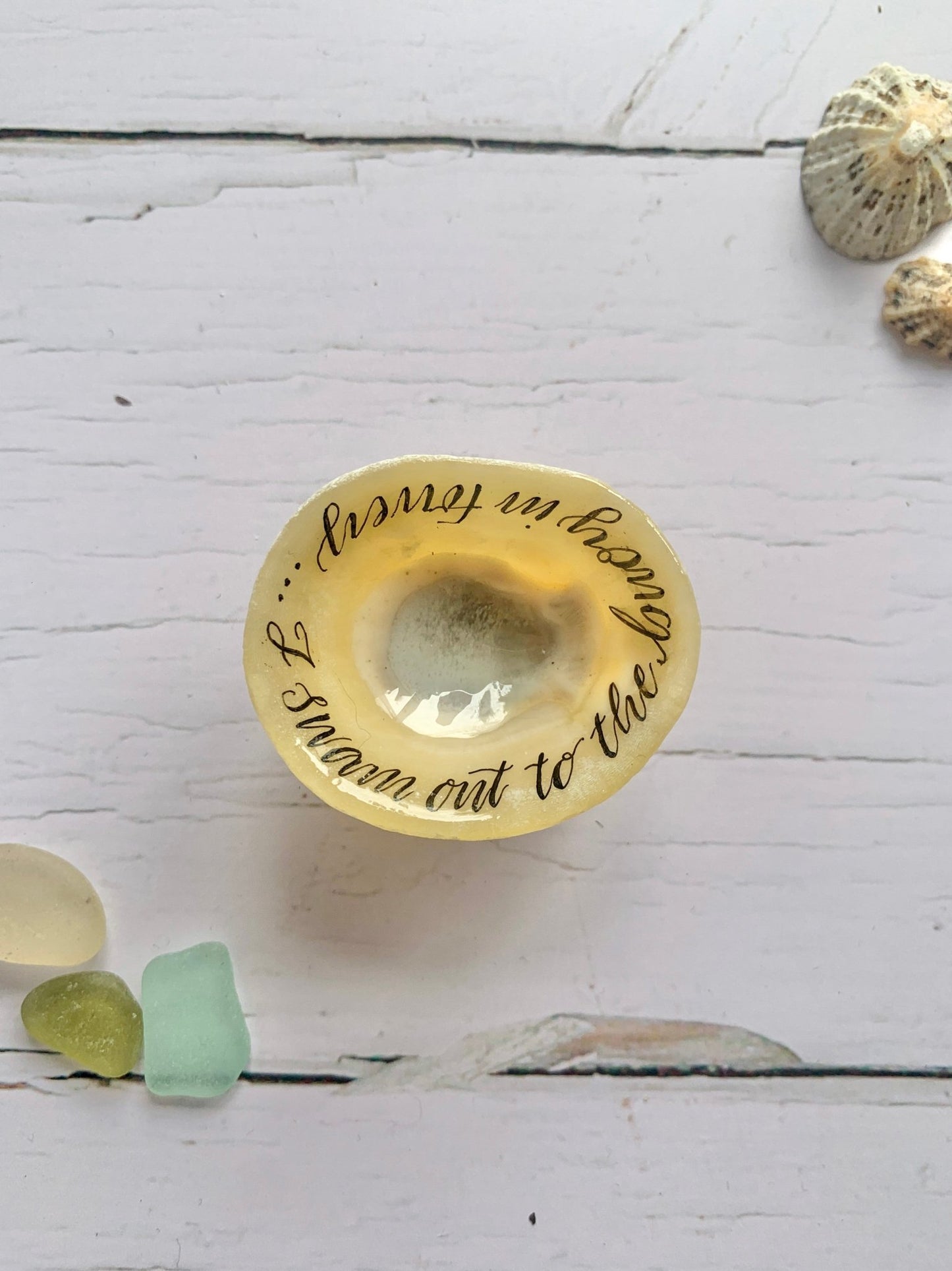 Hand lettered calligraphy Cornish limpet shells - Readymoney Beach Shop