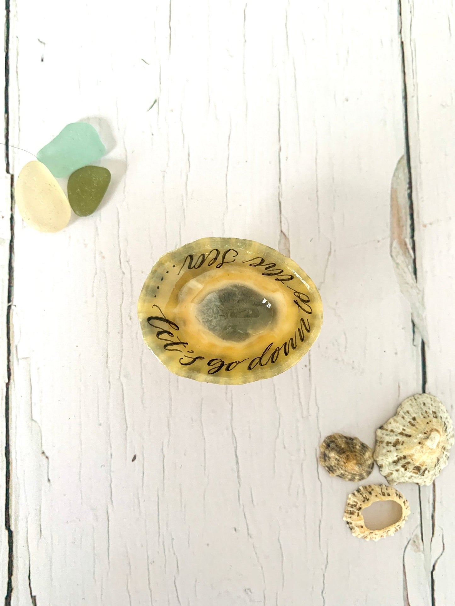 Hand lettered calligraphy Cornish limpet shells - Readymoney Beach Shop