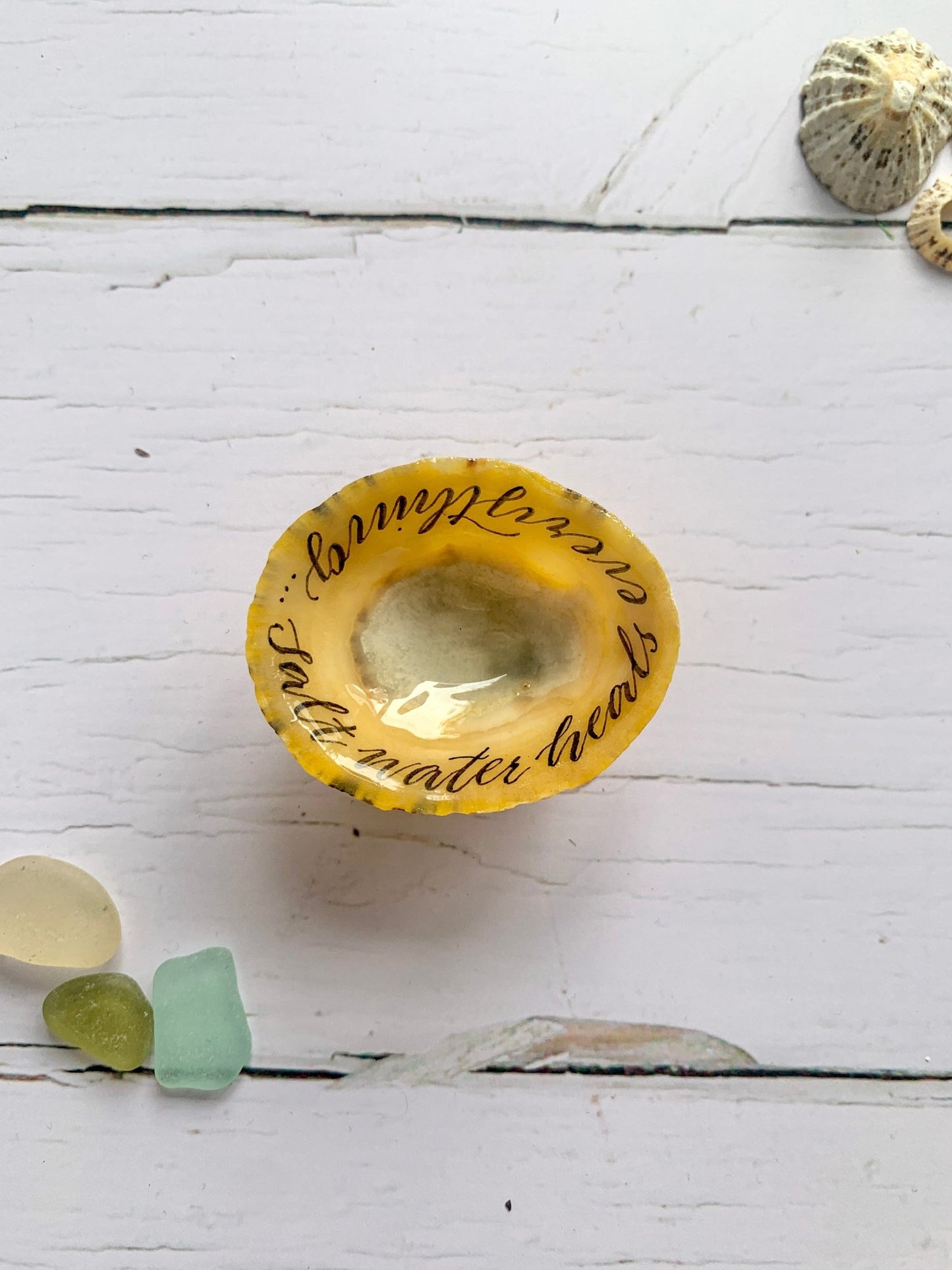 Hand lettered calligraphy Cornish limpet shells - Readymoney Beach Shop