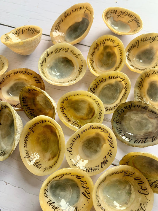 Hand lettered calligraphy Cornish limpet shells - Readymoney Beach Shop