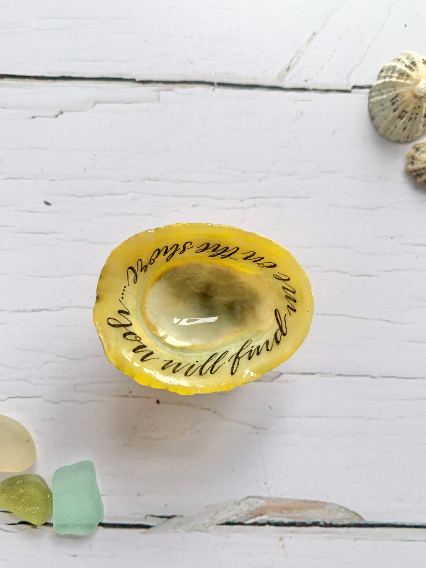 Hand lettered calligraphy Cornish limpet shells - Readymoney Beach Shop