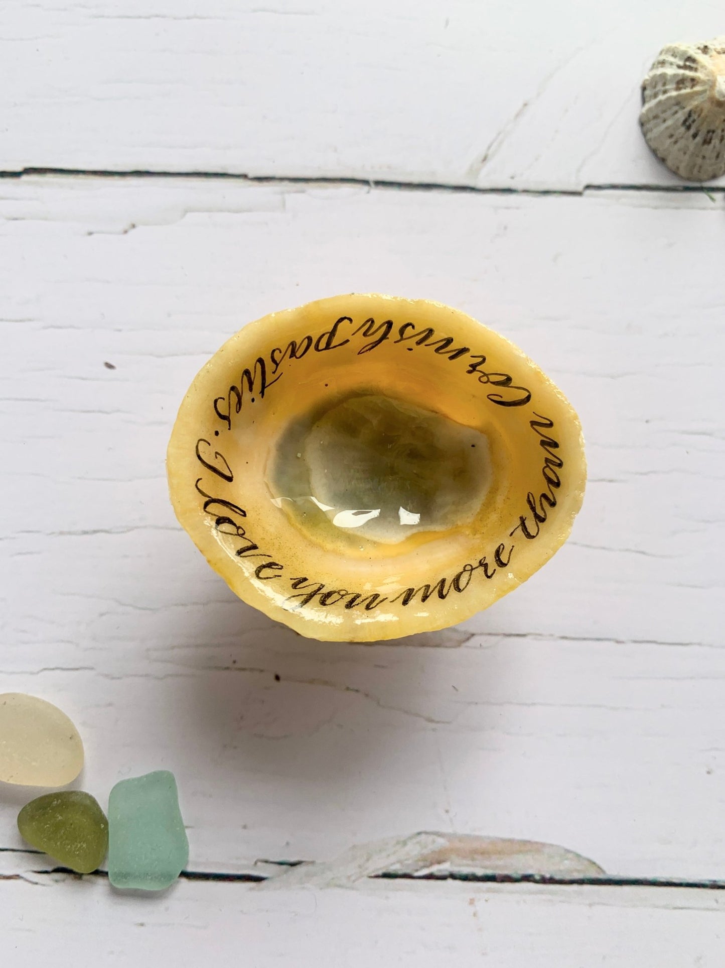 Hand lettered calligraphy Cornish limpet shells - Readymoney Beach Shop