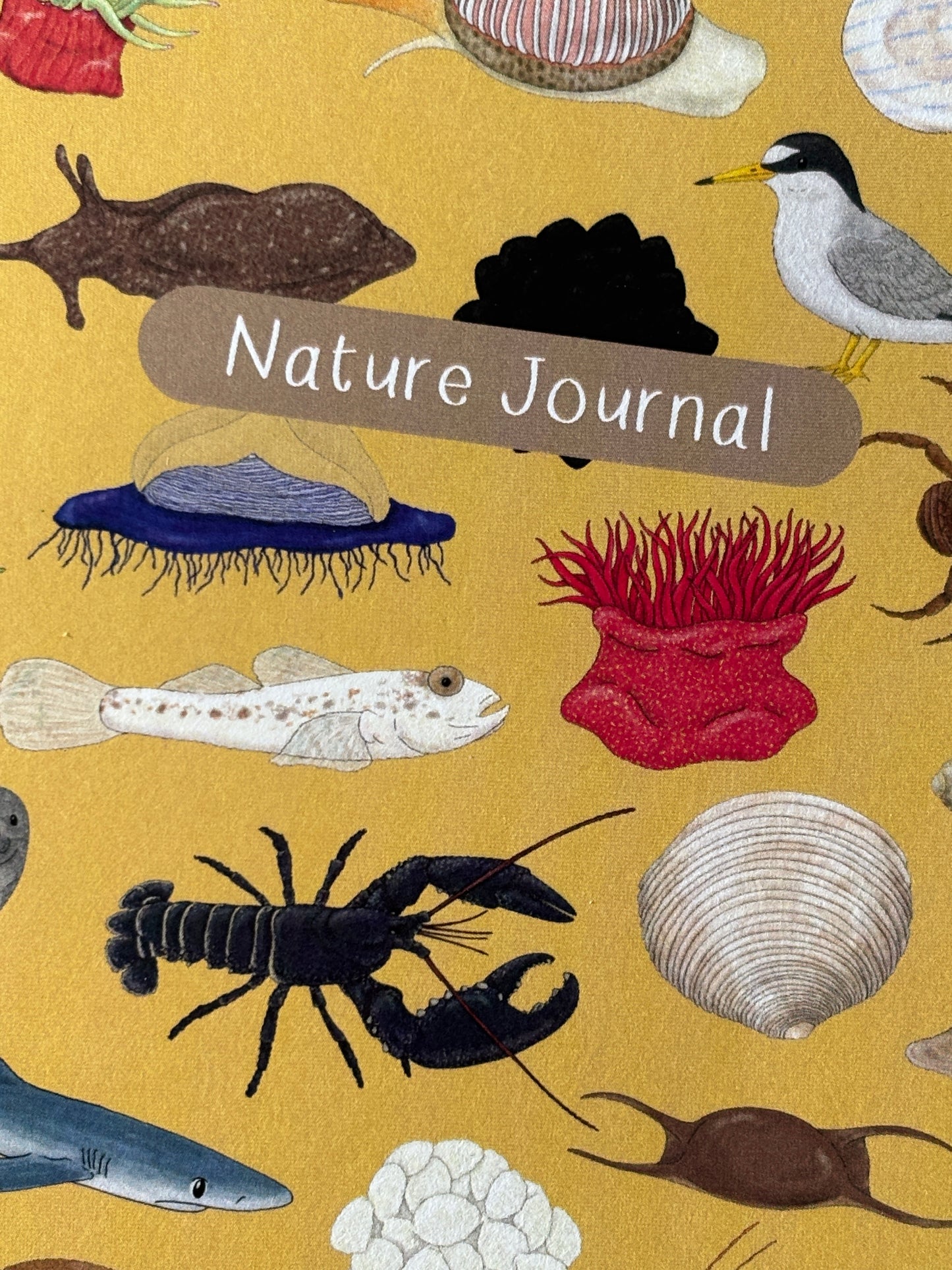 closeup shot of coastal nature journal cover with marine wildlife illustrations—handmade gift for beach lovers and explorers