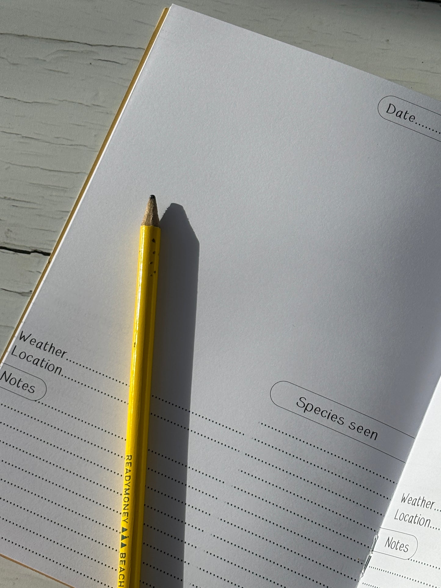 open nature journal with structured wildlife log pages—coastal-themed field notebook for explorers and birdwatchers