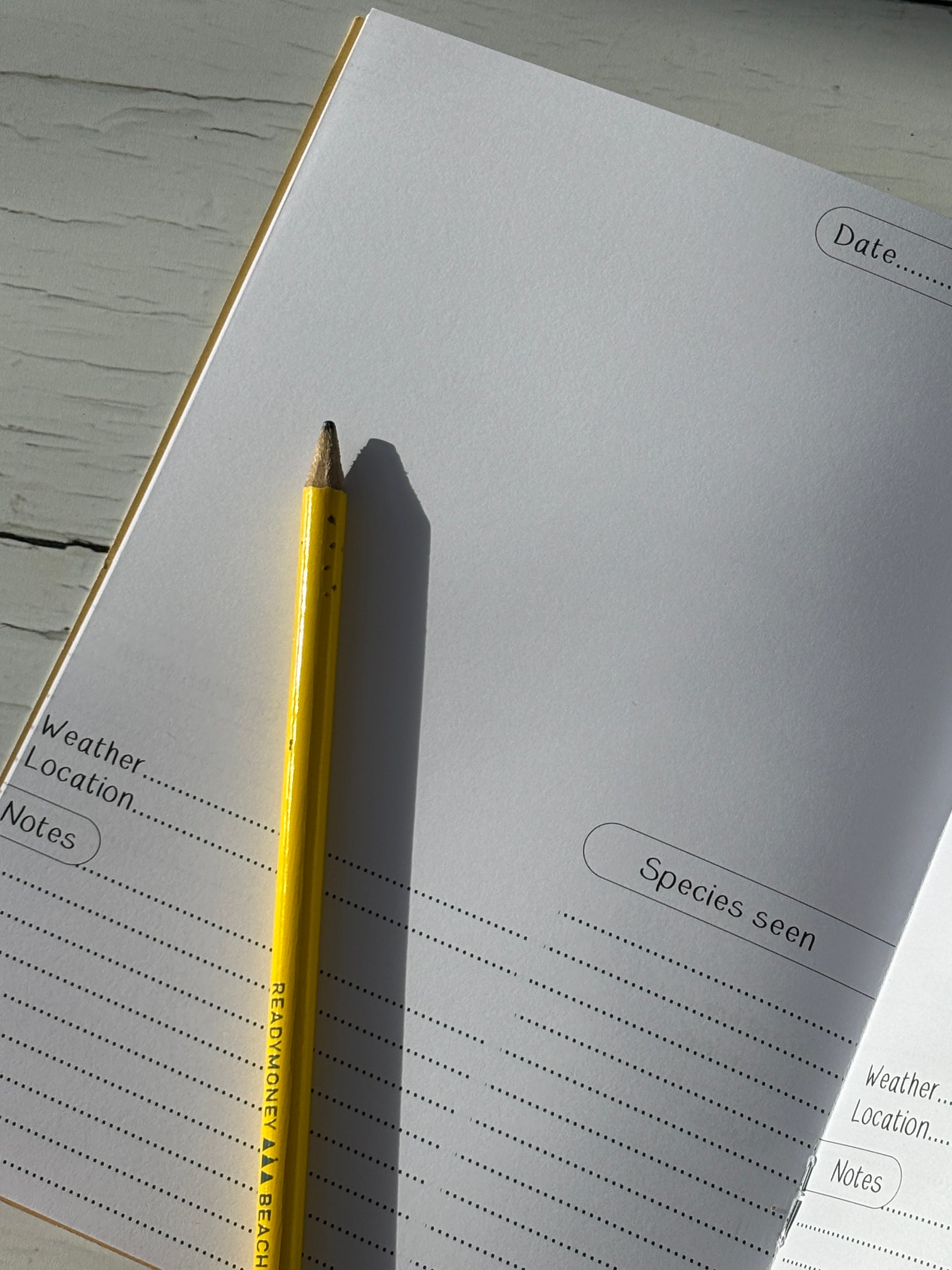 open nature journal with structured wildlife log pages—coastal-themed field notebook for explorers and birdwatchers