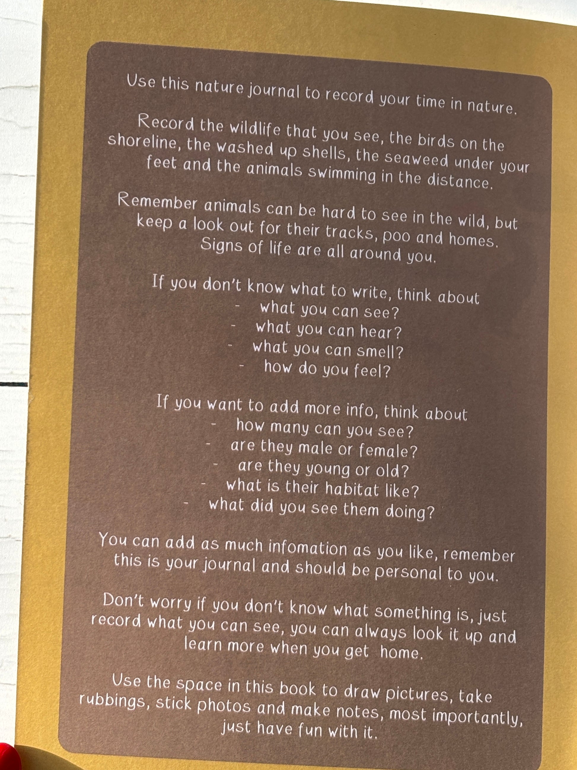 nature journal guide page with coastal wildlife prompts—educational field notebook for kids and outdoor explorers