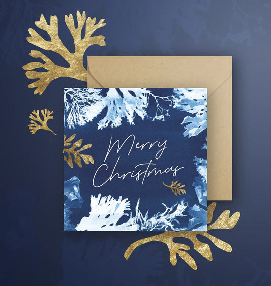 elegant “Merry Christmas” seaweed card with ocean-inspired blue artwork—coastal holiday greeting perfect for sea lovers and festive gifting