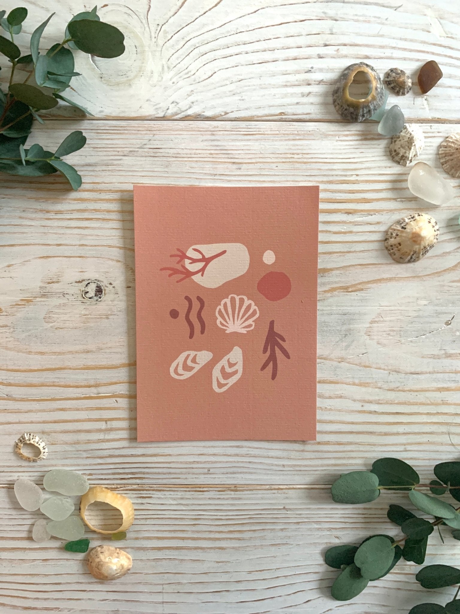 minimalist coastal art postcard with seashells, coral, and seaweed—perfect for beach decor, gifting, or summer stationery