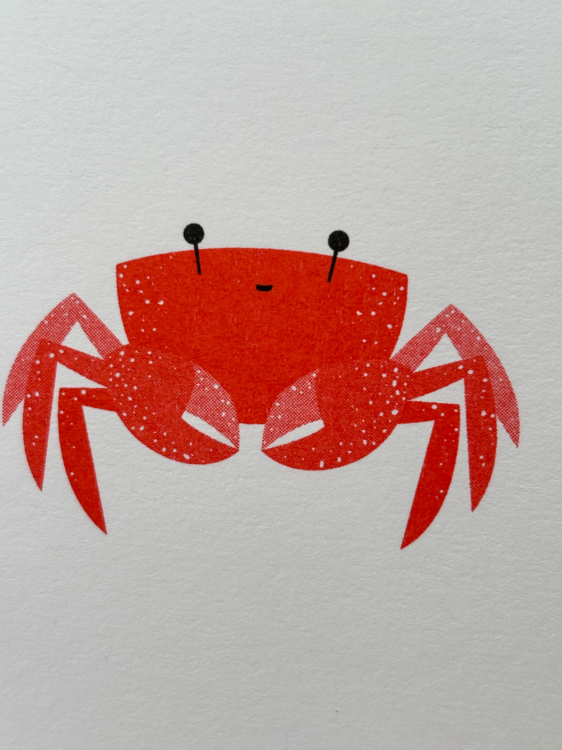 closeup shot of red crab illustration on a mini greetings card nautical and coastal art print with minimalist beach animal design