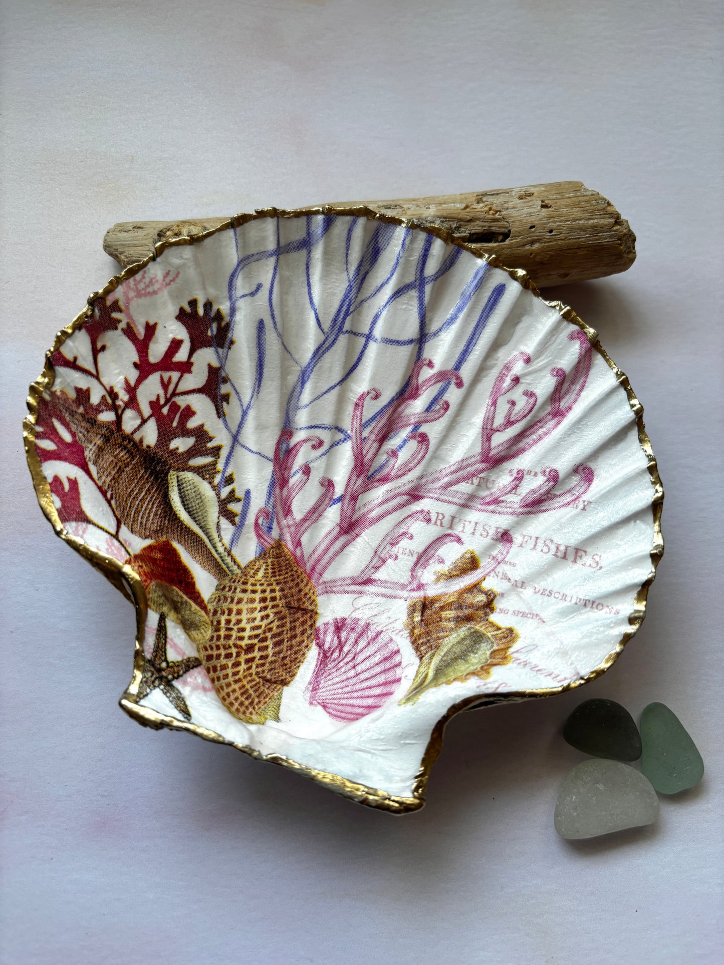 Seaside Decorated Scallop Shells