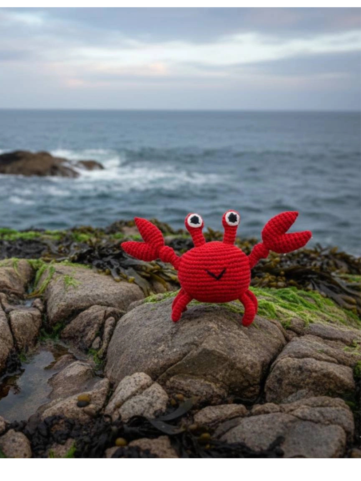 A small red crocheted crab toy with large white eyes stands on a rocky shoreline with the ocean and cloudy sky in the background.