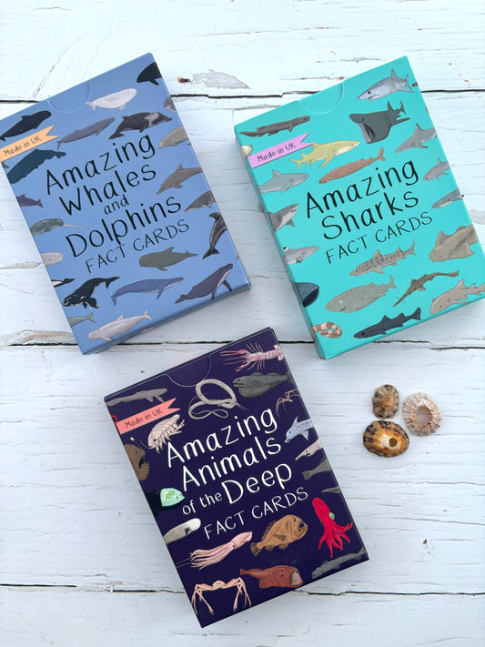 ocean wildlife educational card collection featuring whales, dolphins, sharks, and deep sea creatures, UK made