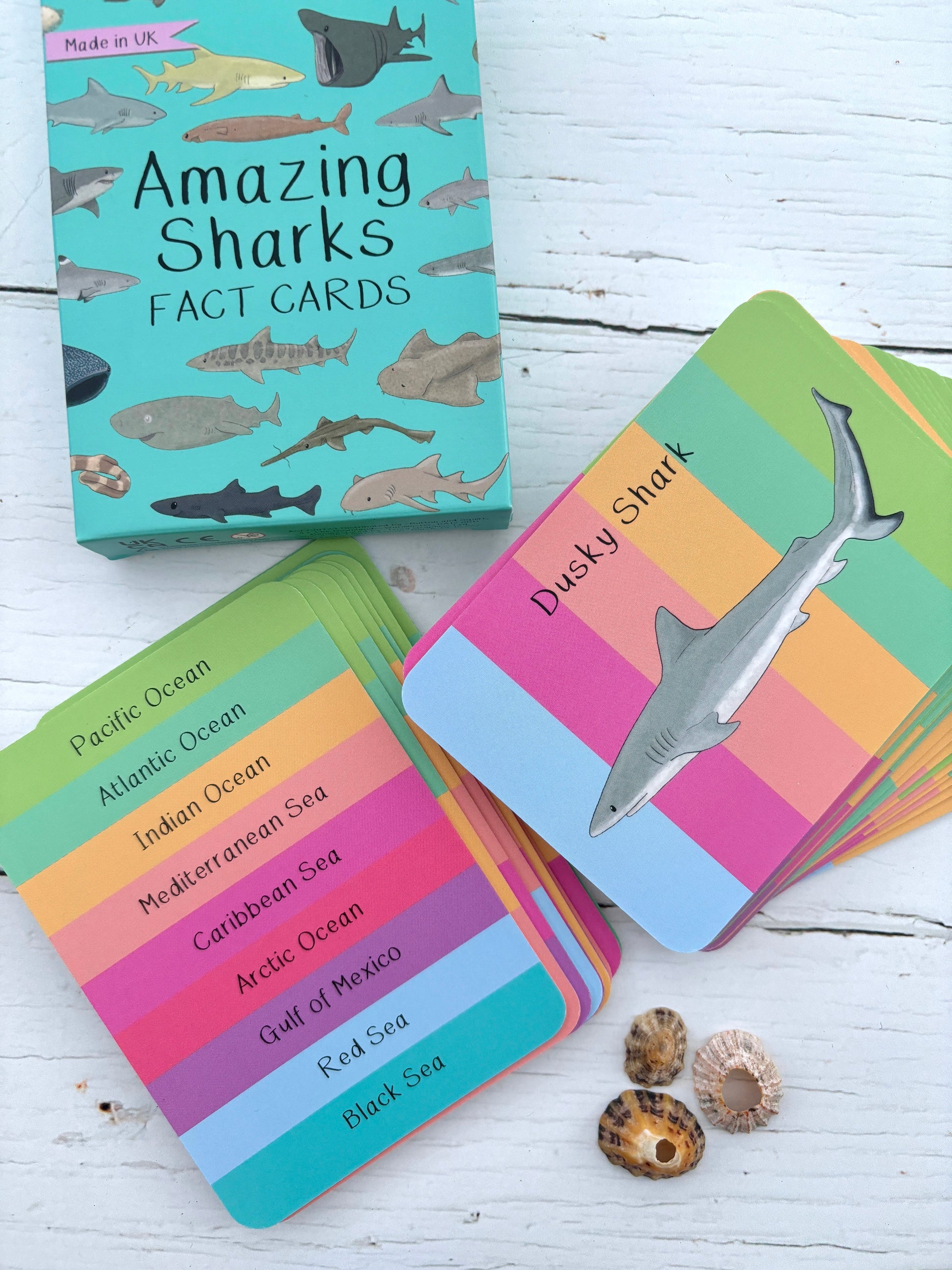 amazing Sharks fact cards showing Dusky Shark illustration, ocean location guide, colorful educational card deck