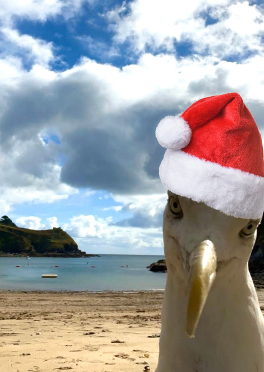 funny Christmas card featuring a seagull in a Santa hat on a scenic beach coastal holiday greeting, novelty photo card, seaside Xmas