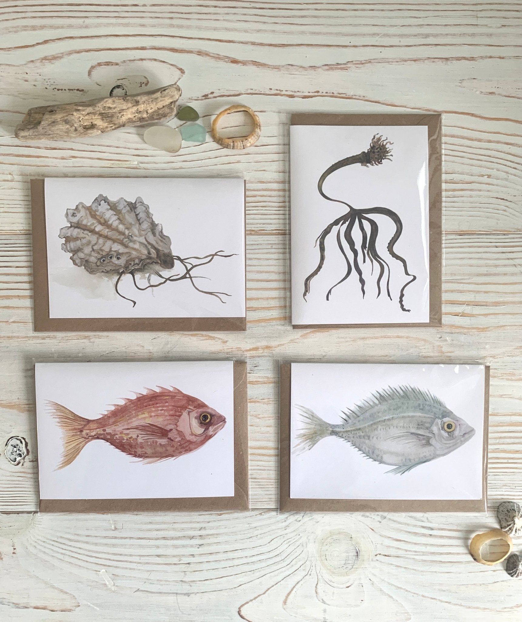 Sealife Watercolour Cards - Readymoney Beach Shop