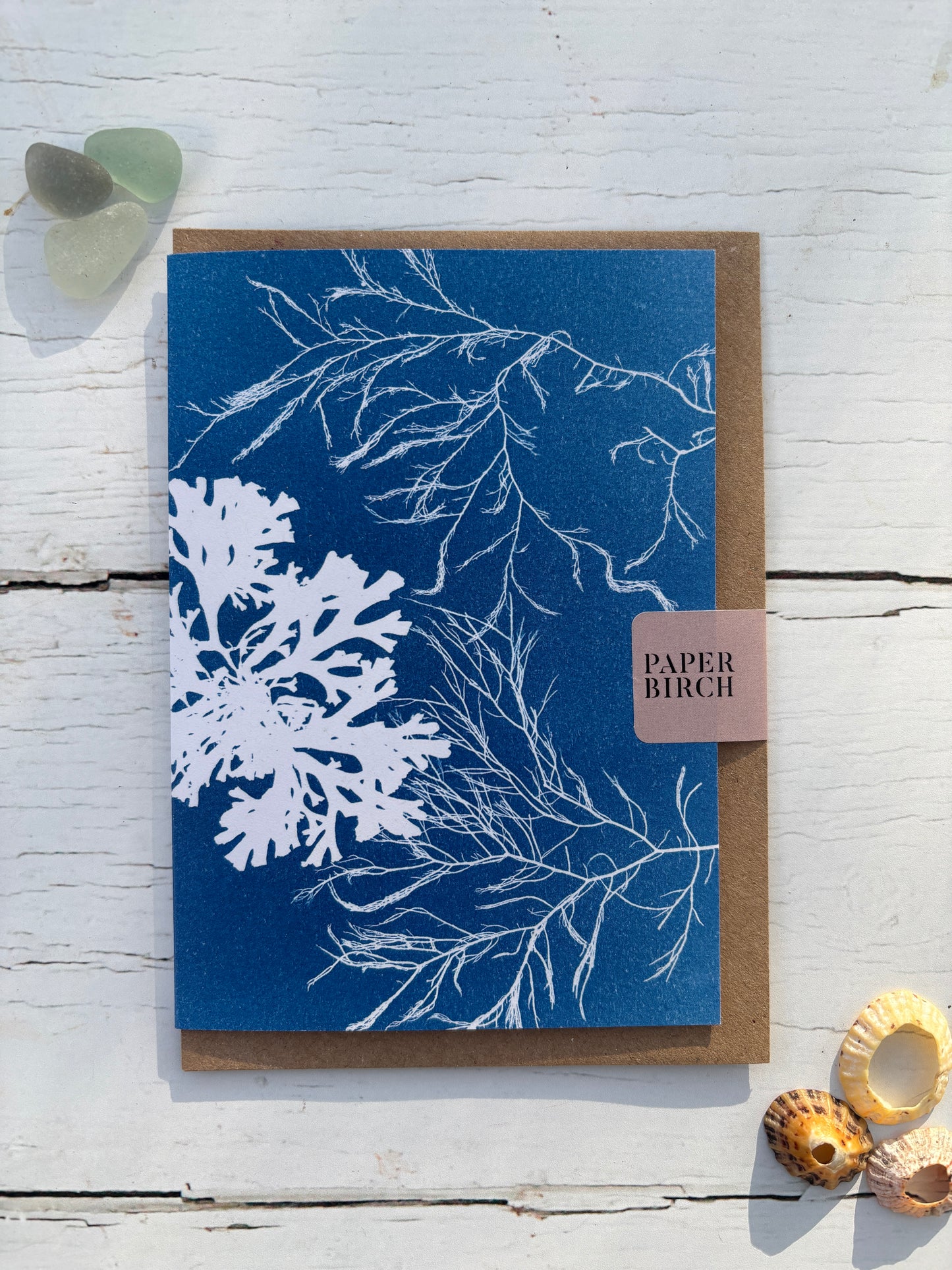 cyanotype-style seaweed greetings card—botanical coastal design in deep blue, eco-friendly and UK-made