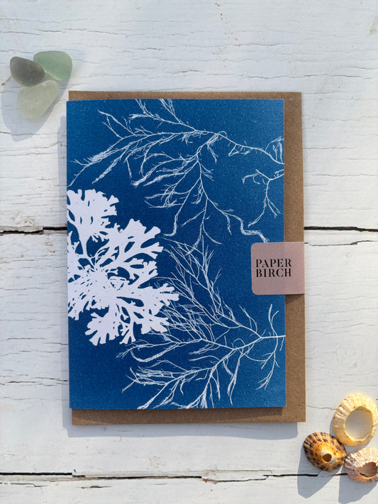cyanotype-style seaweed greetings card—botanical coastal design in deep blue, eco-friendly and UK-made