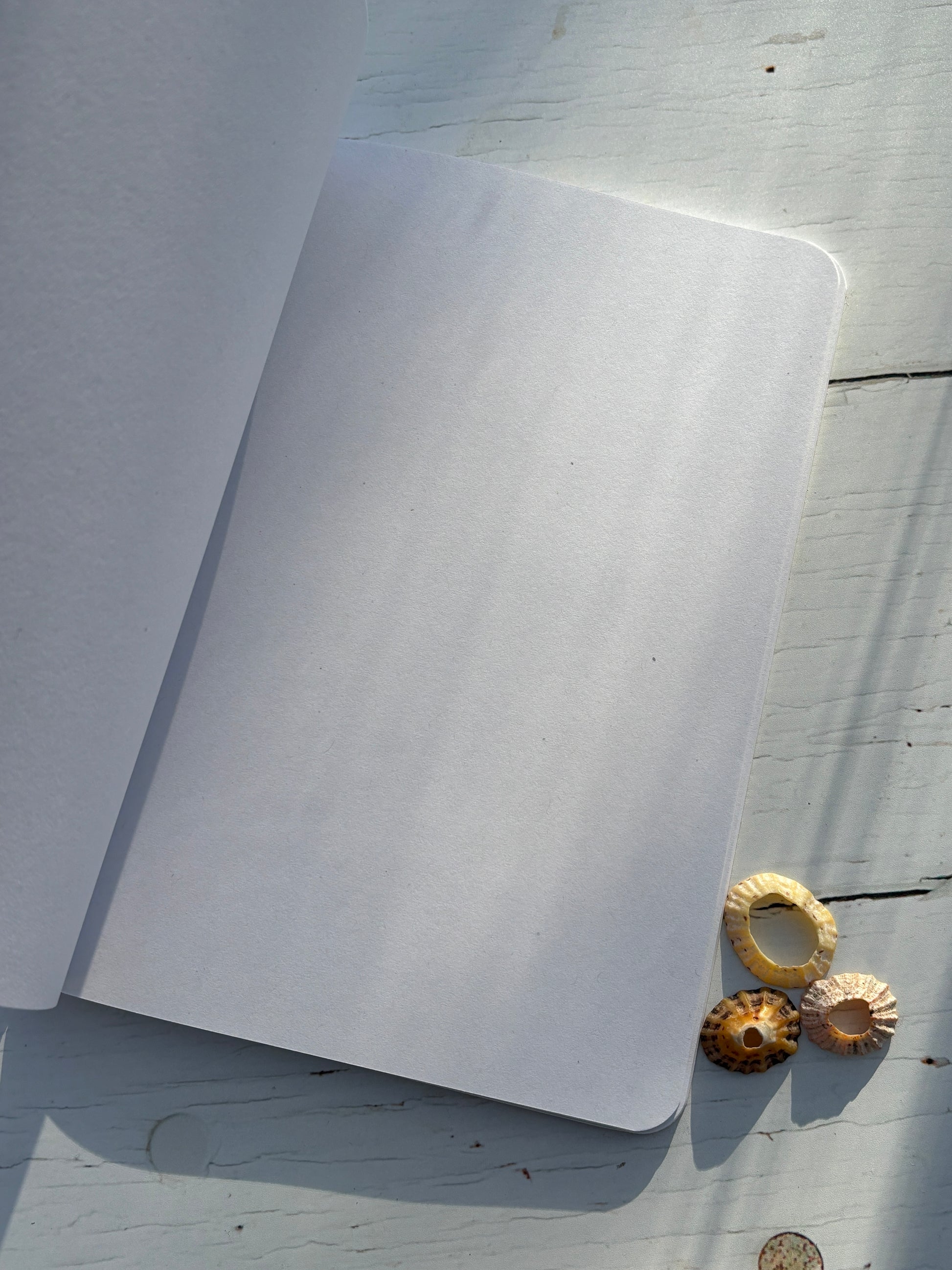 A5 blank page notebook—minimalist eco stationery with seaweed cover, perfect for journaling or sketching