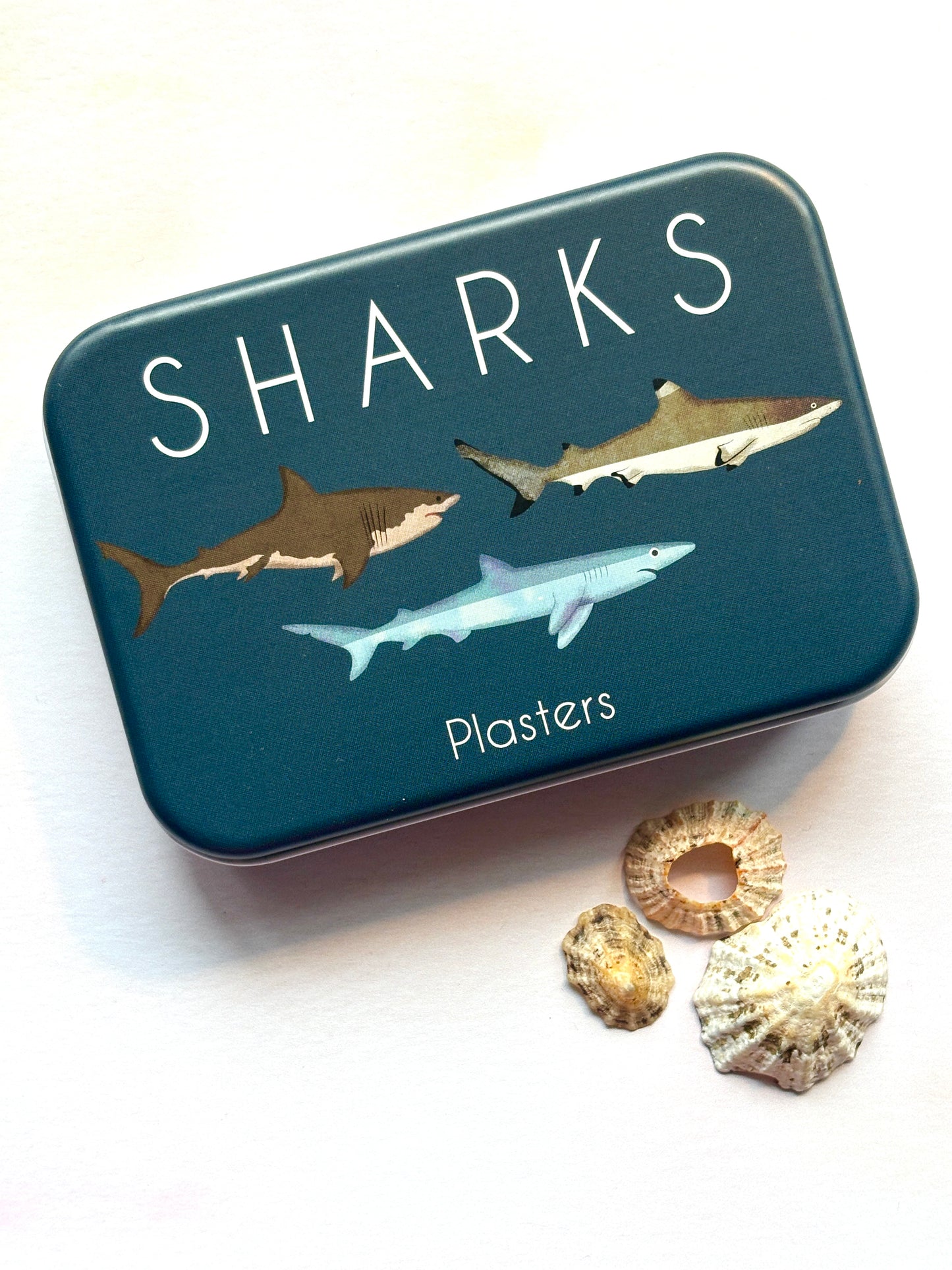 Sharks Plasters in a Tin