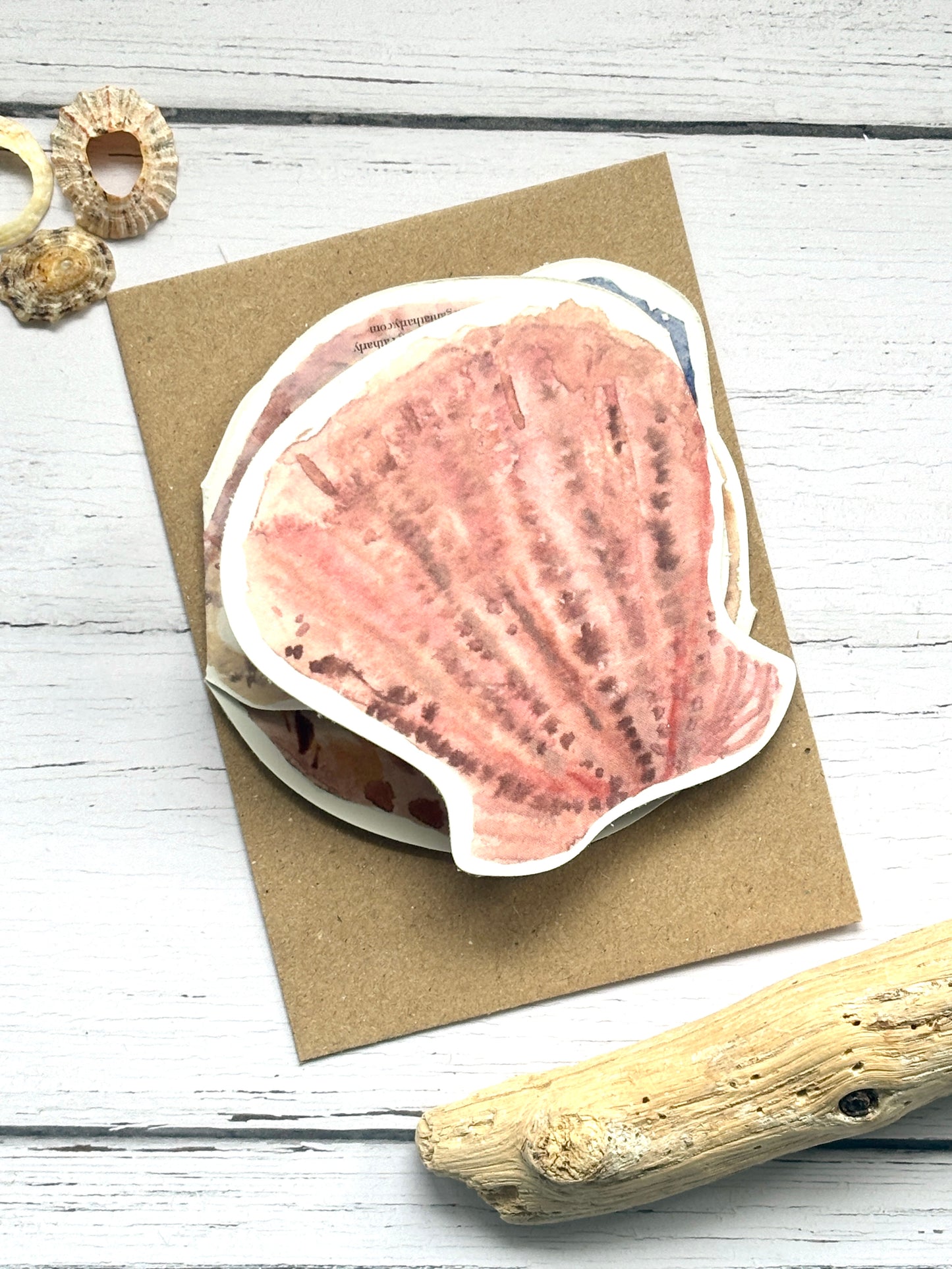 The Shell Collector Folding Concertina Greetings Card