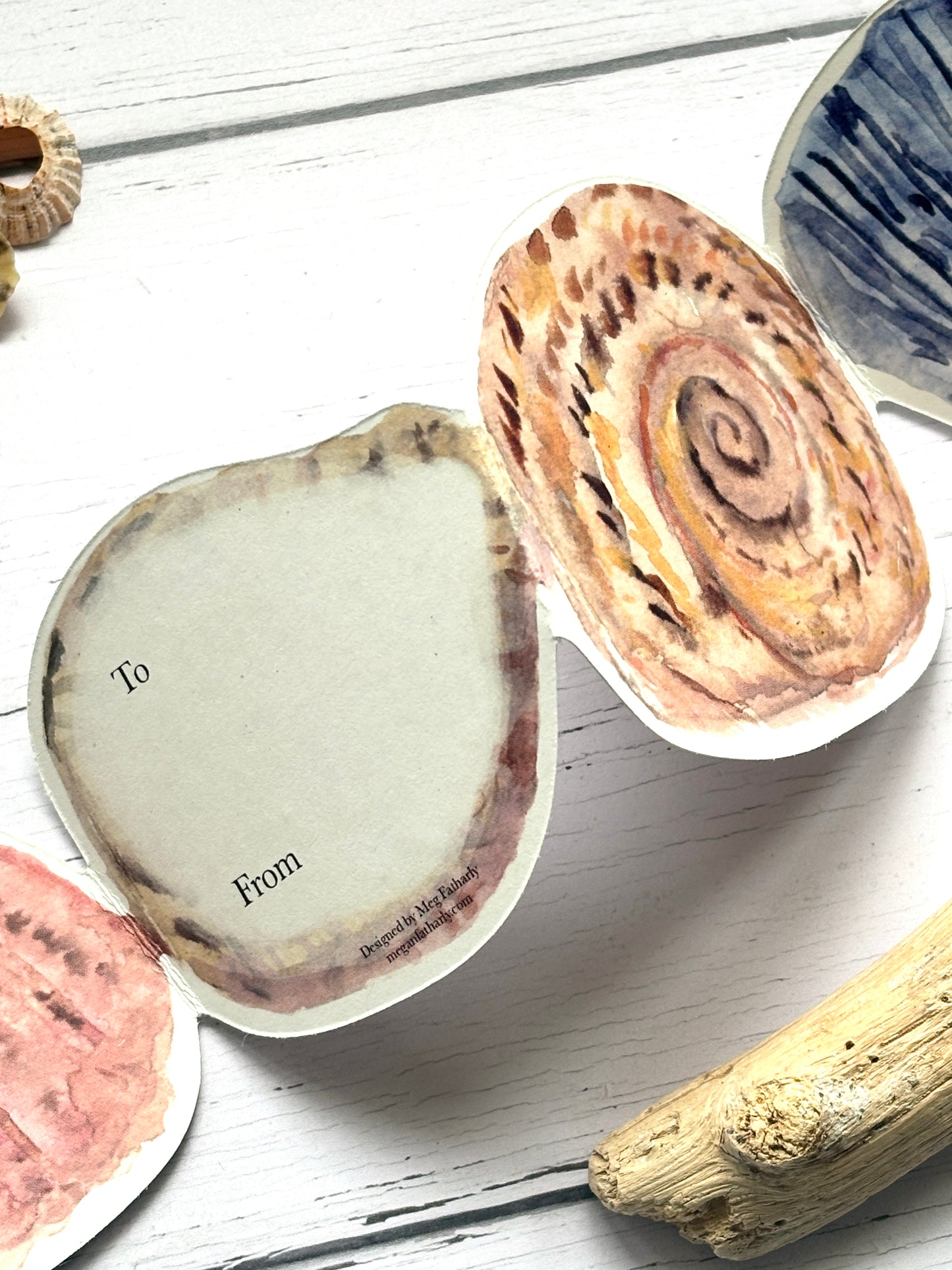 The Shell Collector Folding Concertina Greetings Card