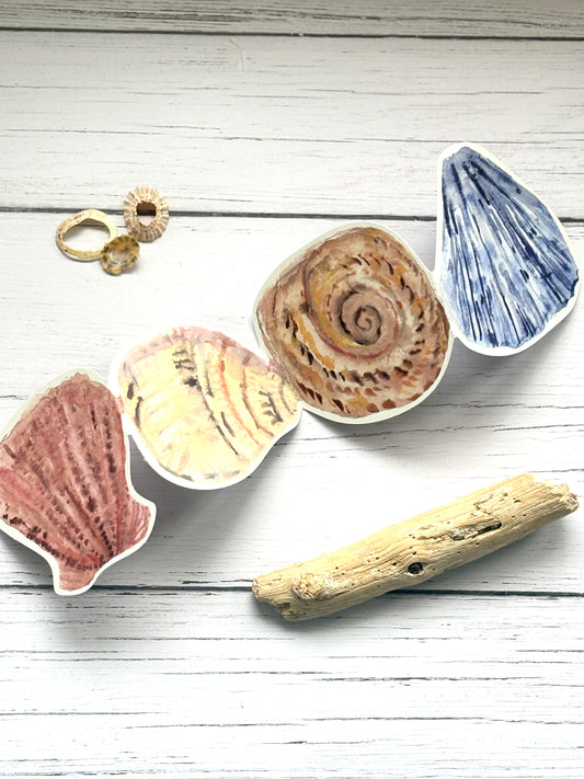 The Shell Collector Folding Concertina Greetings Card