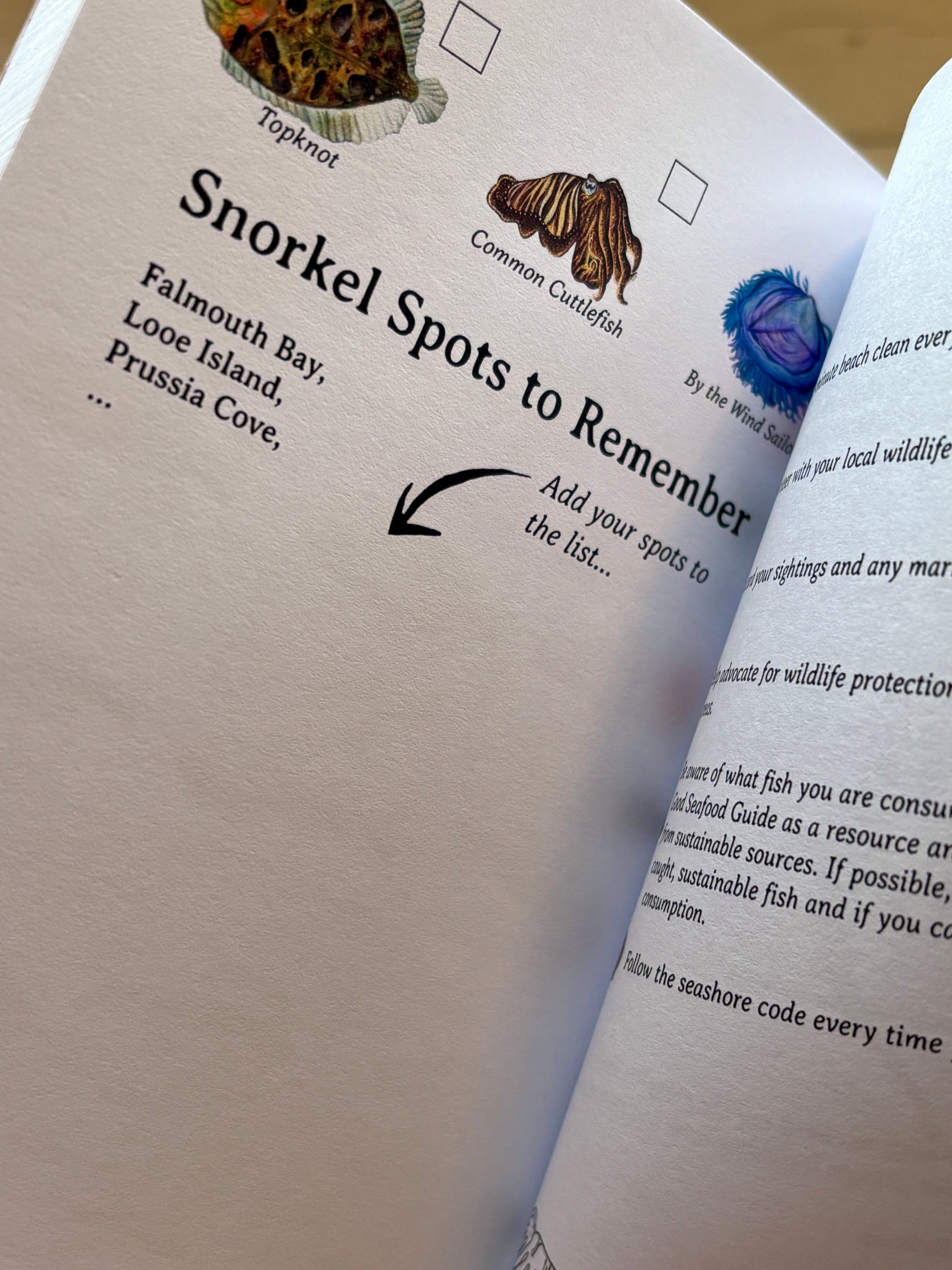 closeup shot of snorkelling guide—marine species checklist, UK snorkel spots, and ocean-friendly tips for eco explorers