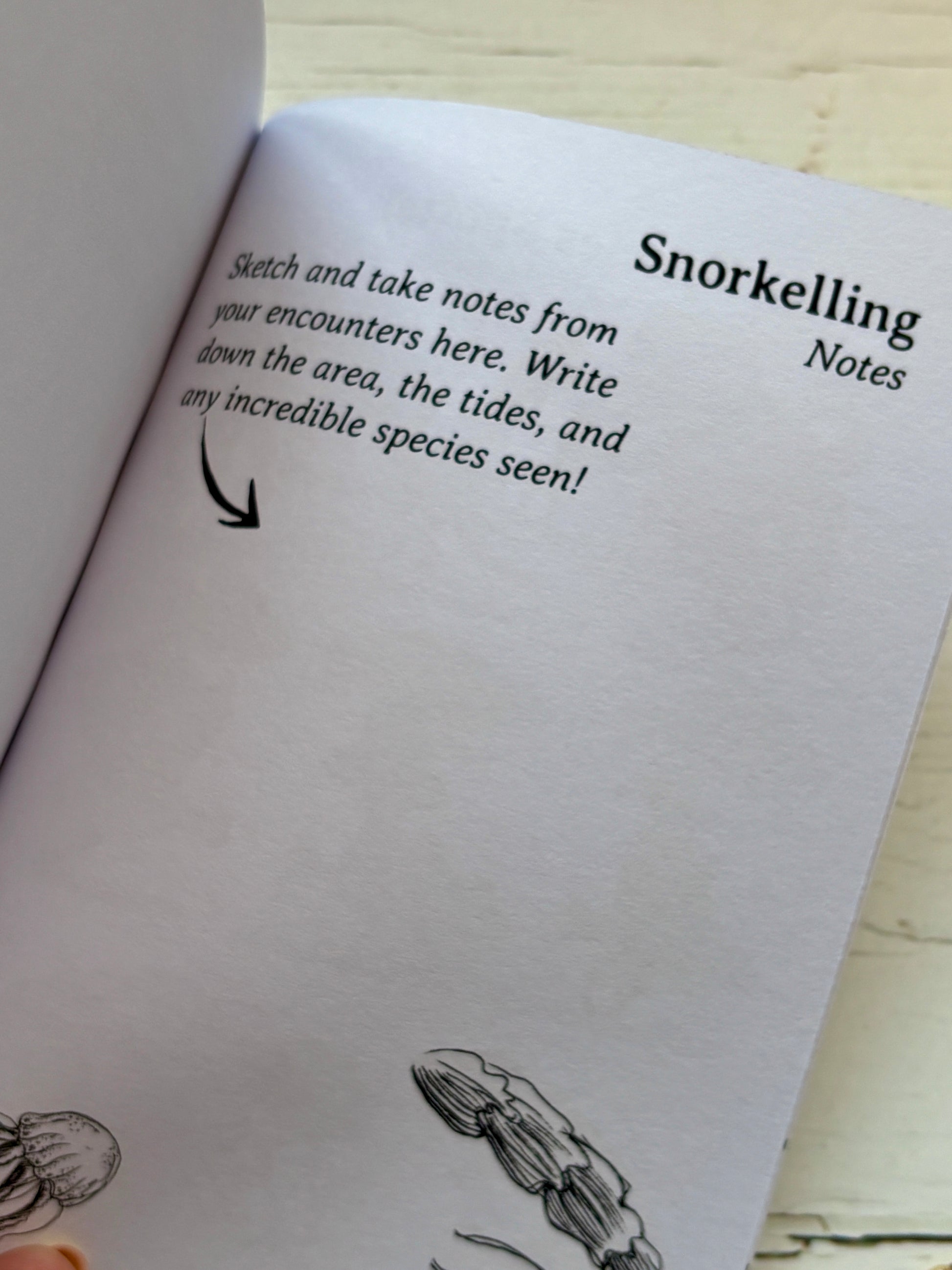 closeup of snorkelling guide—blank notes page for sketching marine life, tracking tides, and recording underwater sightings
