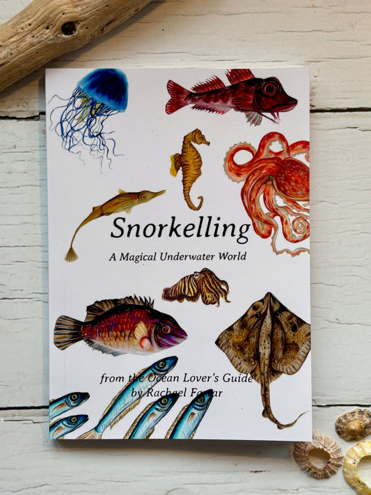 snorkelling pocket guide—vibrant marine illustrations, ocean wildlife facts, and travel-friendly format for sea lovers