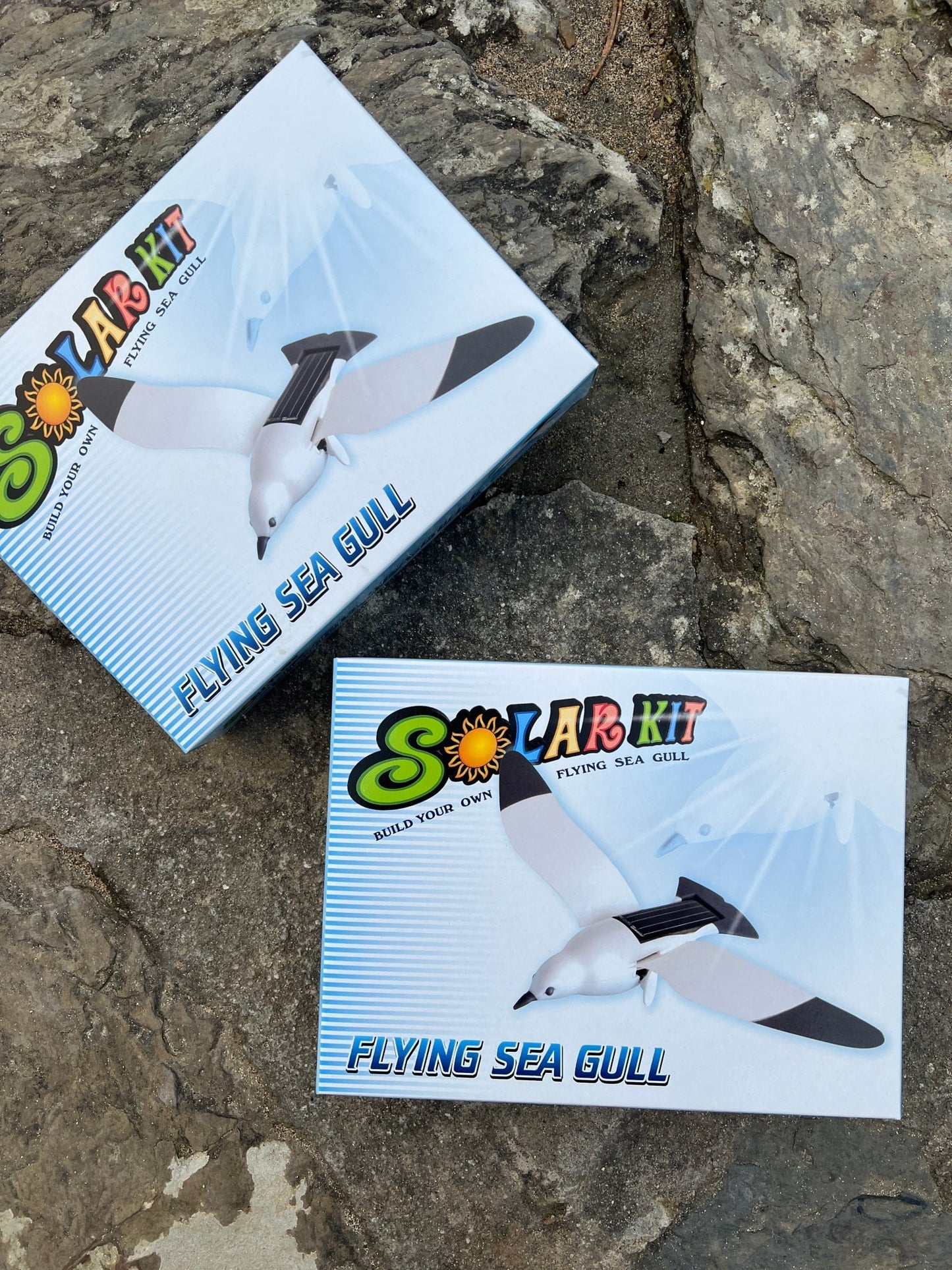 DIY solar-powered flying seagull kit—eco-friendly STEM toy for kids to build and learn renewable energy