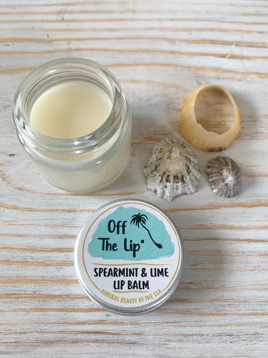 Spearmint & Lime Lip Balm (15ml) - Readymoney Beach Shop