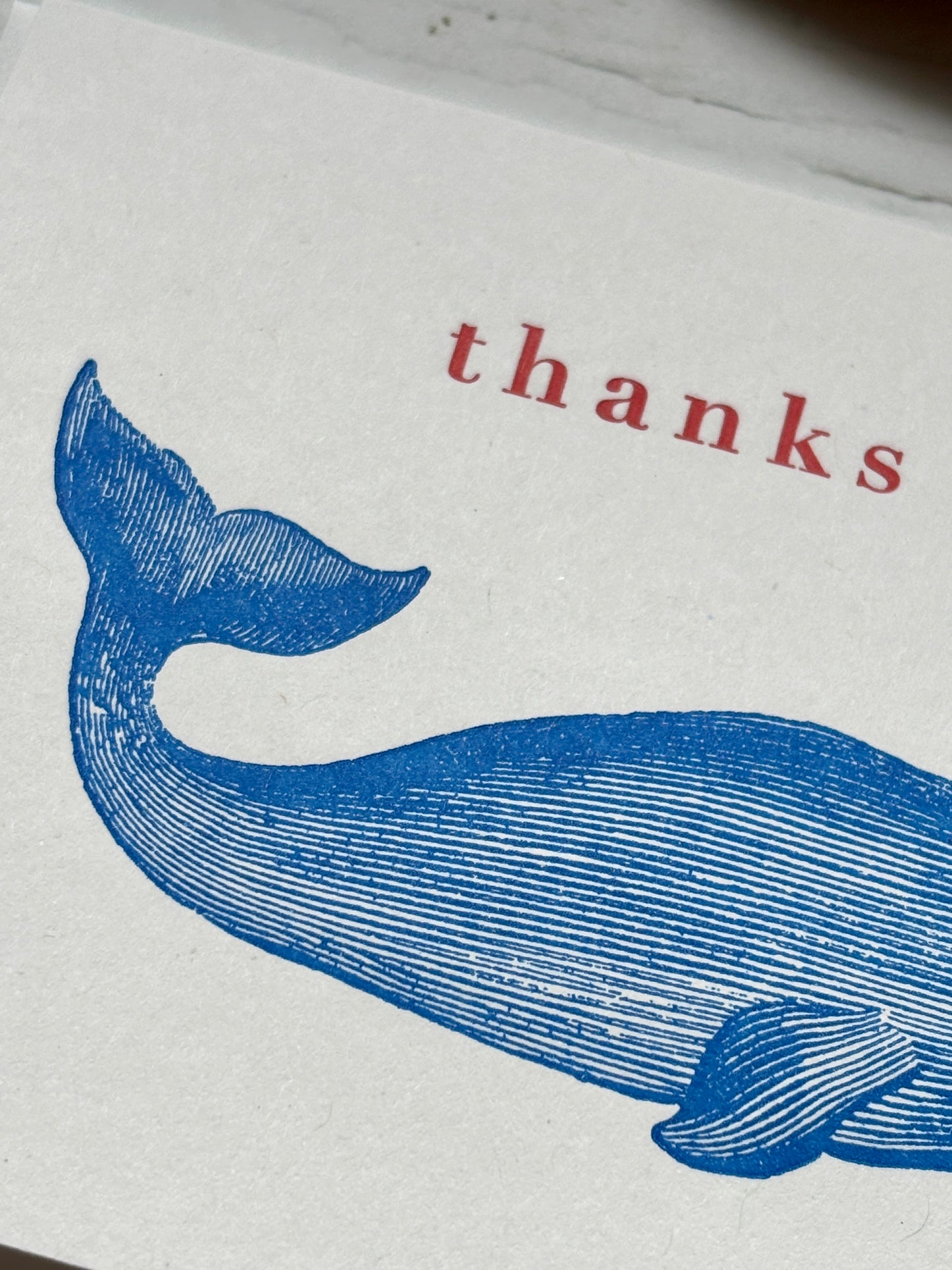 closeup shot of whale 'thanks' card blue vintage etching style marine print thoughtful, funny thank you note for any occasion