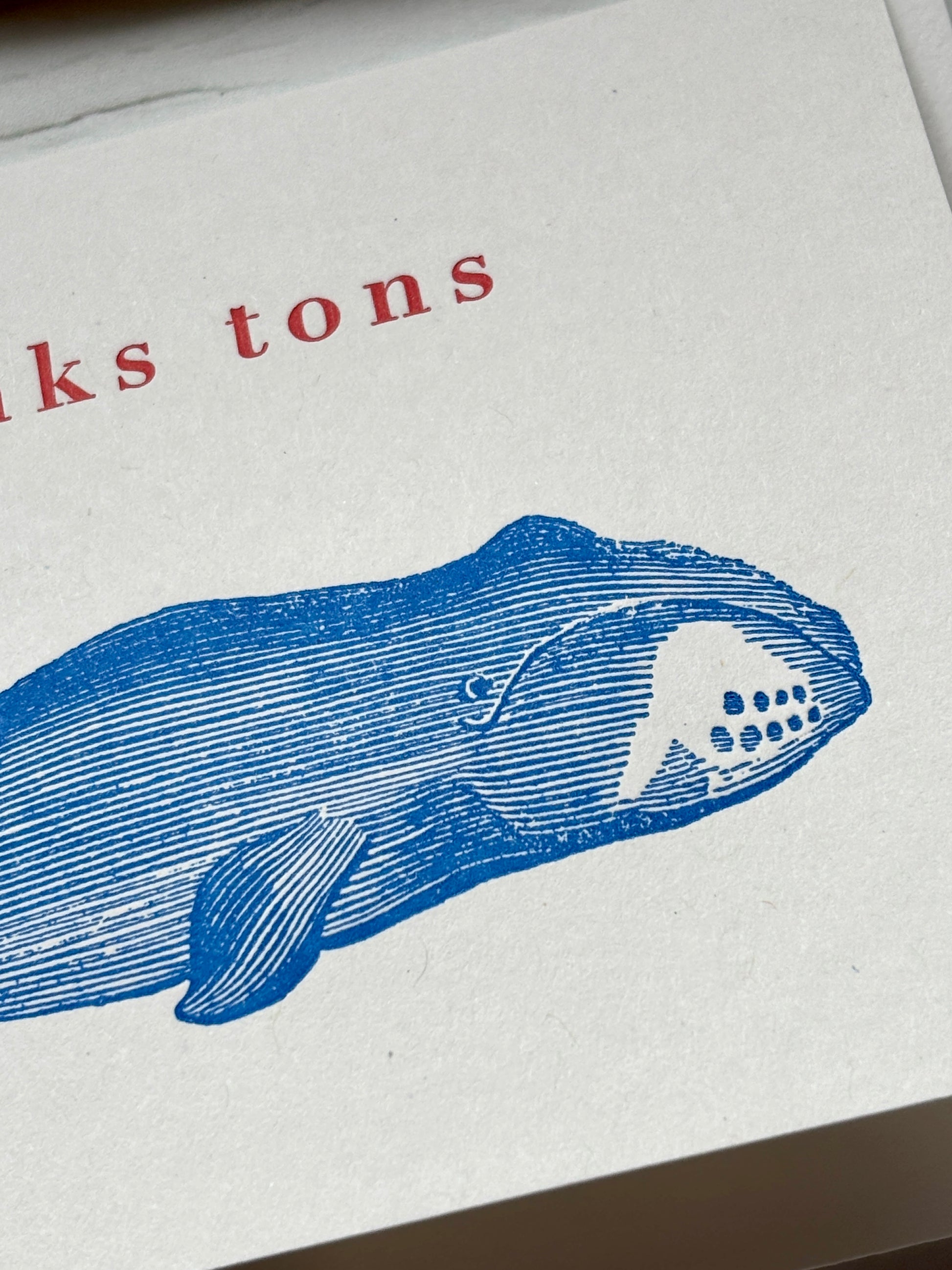 ocean themed thank you card blue whale illustration with "thanks tons" quote humorous appreciation card for marine lovers