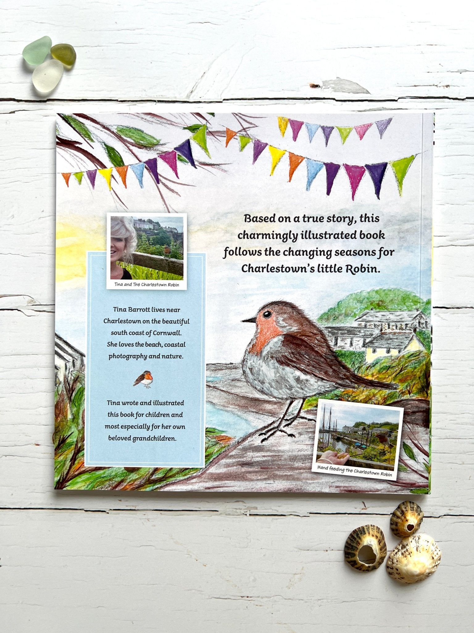 Charlestown Robin storybook back—true coastal tale with author bio and festive bunting, perfect for Christmas gifting