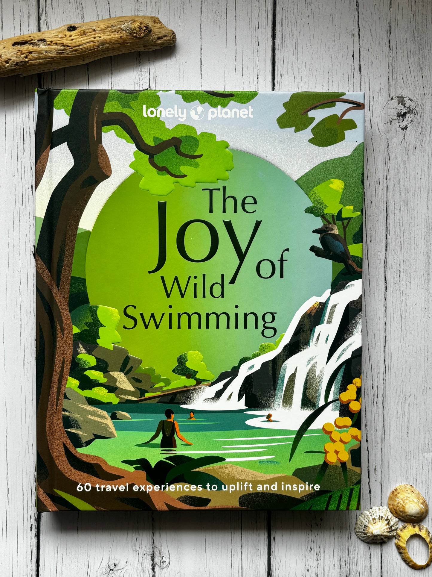 The Joy of Wild Swimming - Lonely Planet Guide