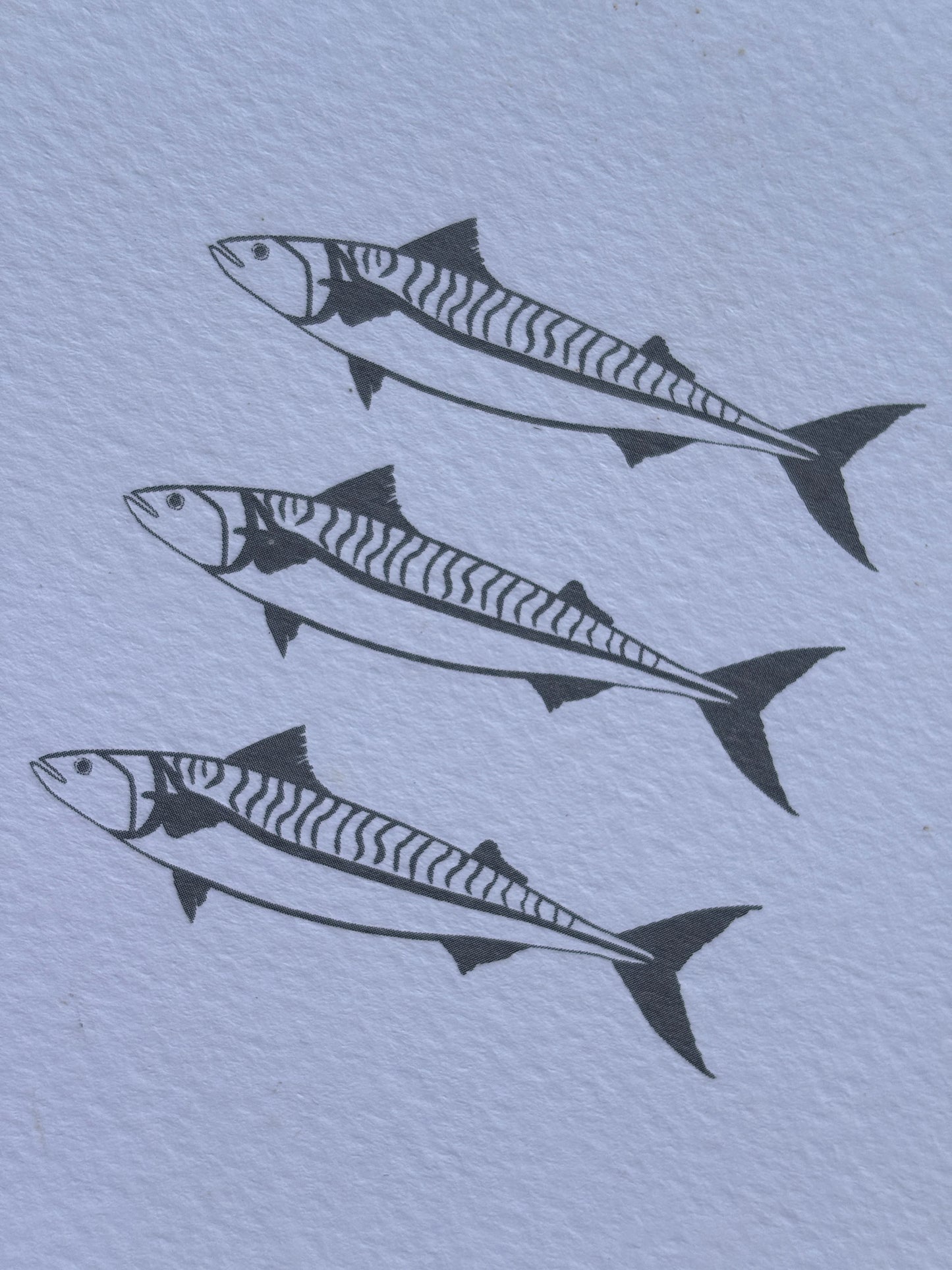 three mackerel greeting card—graphic fish design on textured blue paper, perfect for ocean lovers and coastal-themed stationery