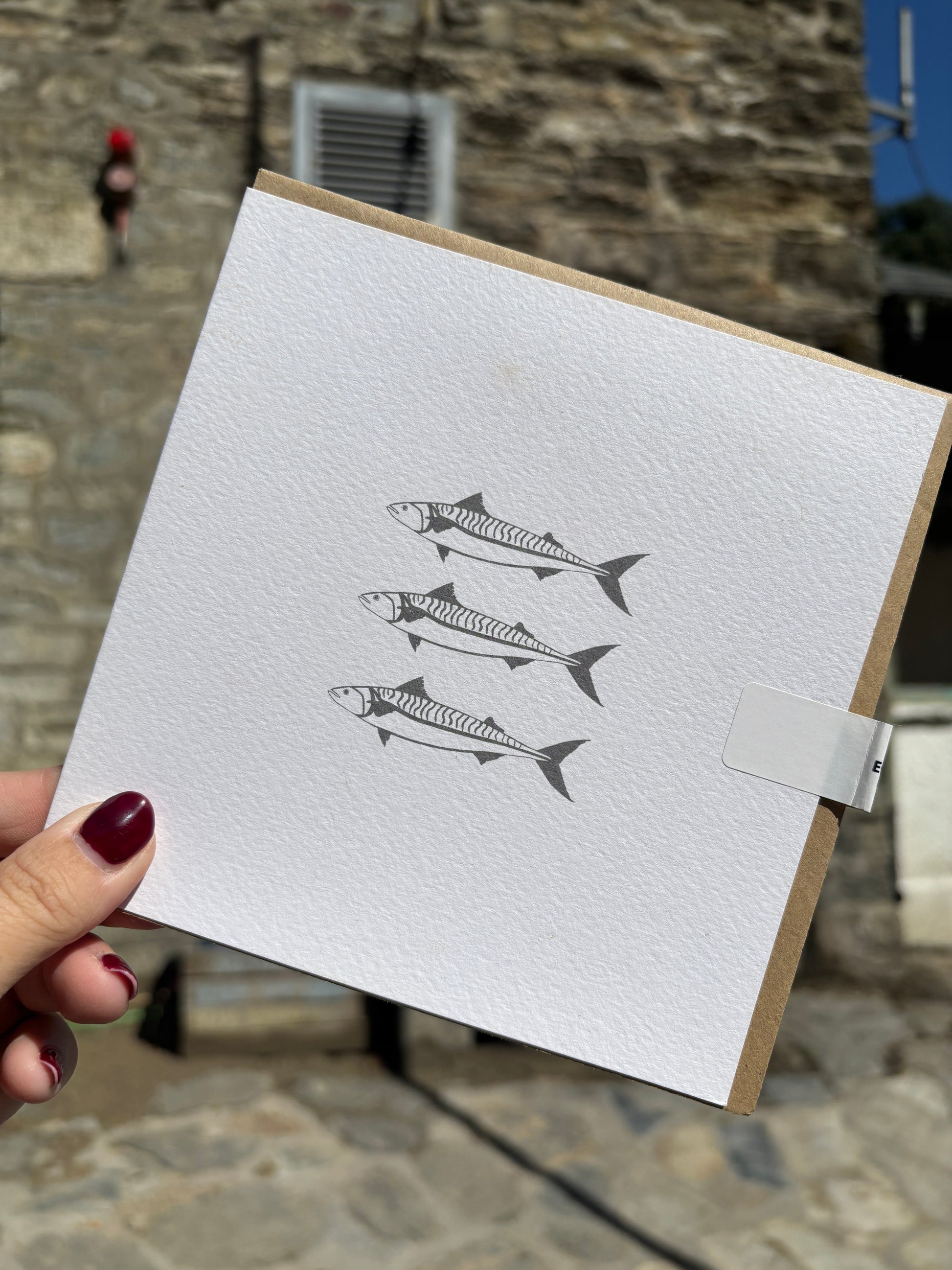 three mackerel greeting card—minimalist fish skeleton design on textured cardstock, perfect for coastal gifting and ocean lovers