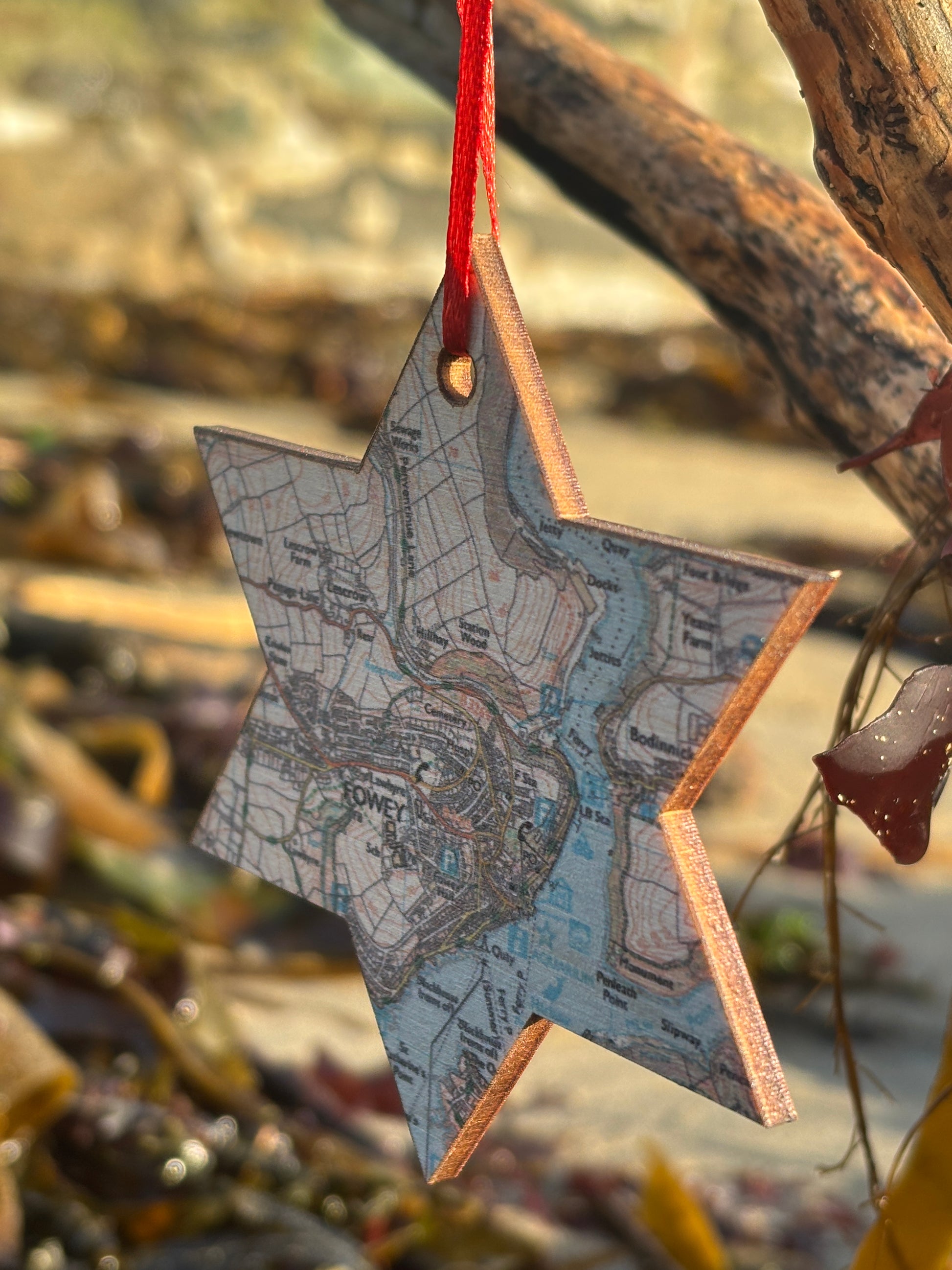 Star-shaped ornament with map design hanging on a branch