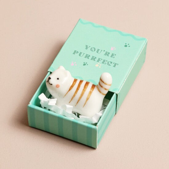 You're Purrfect - Tiny Cat Matchbox Gift Token