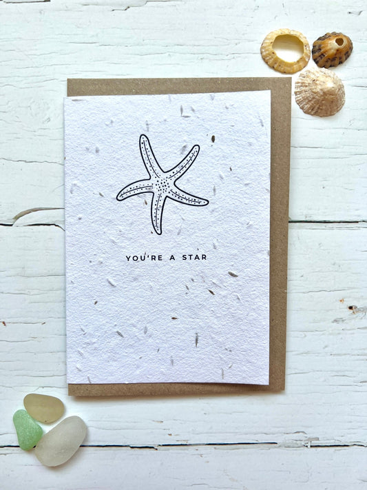 you're a star greetings card with hand-drawn starfish, minimalist coastal design for encouragement or appreciation