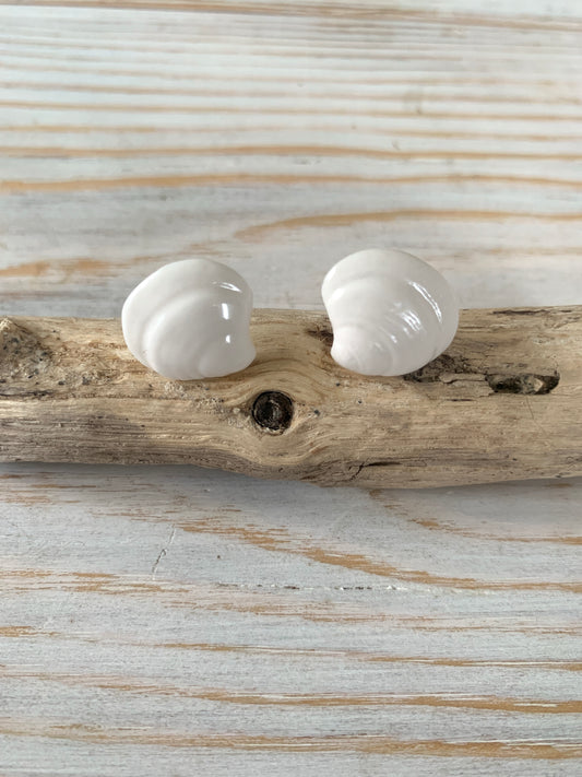 Porcelain clam shell earring studs