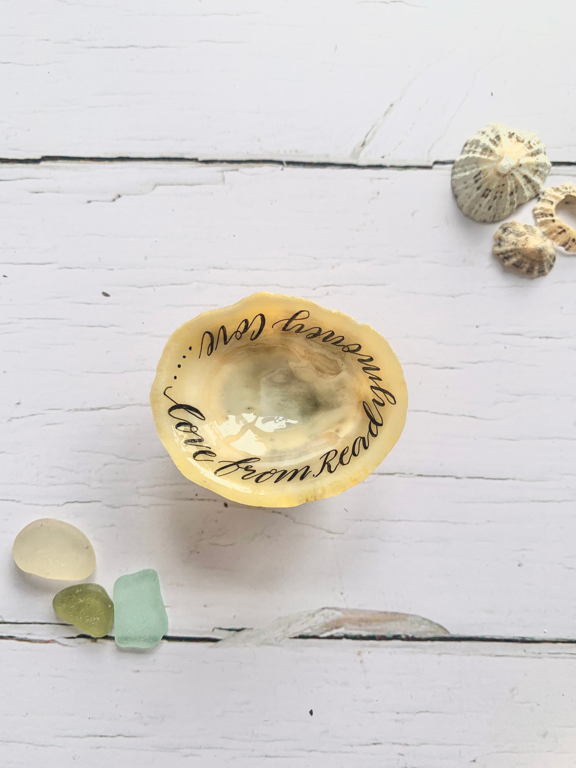 Hand lettered Cornish limpet shells