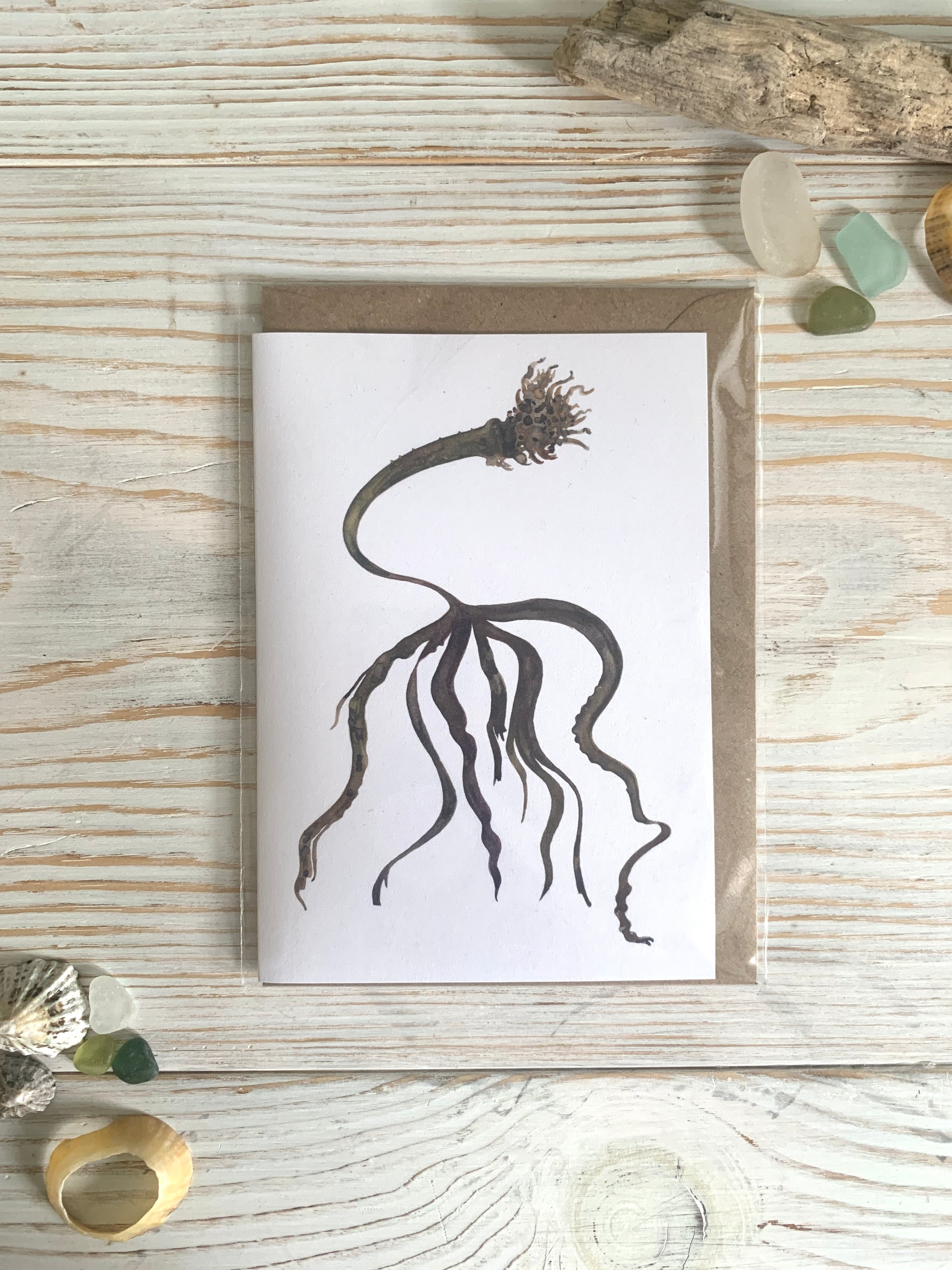 Watercolour card featuring painting of seaweed
