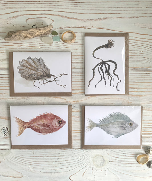 A collection of 4 watercolour cards featuring fish, seaweed and oyster