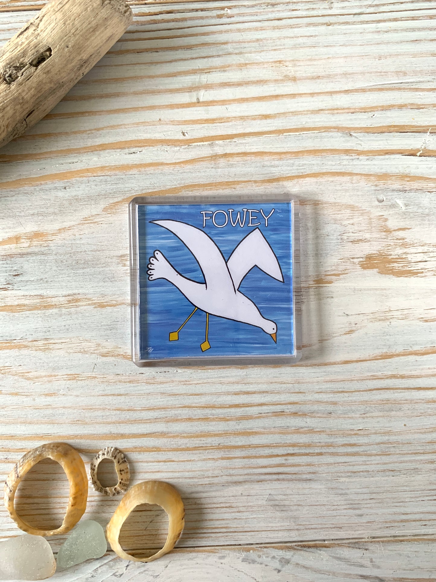 Fridge magnet depicting seagull in flight