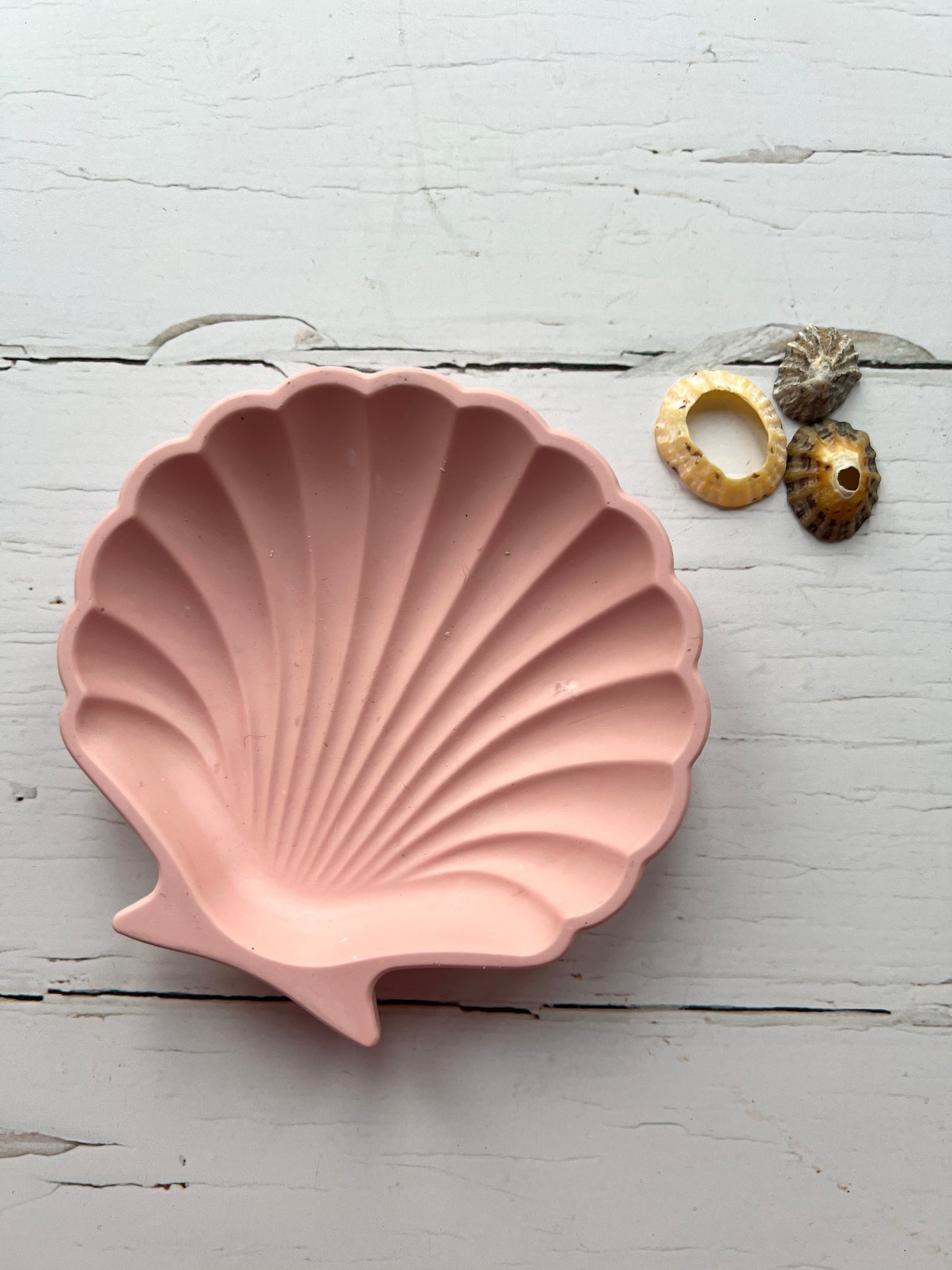blush pink shell trinket dish